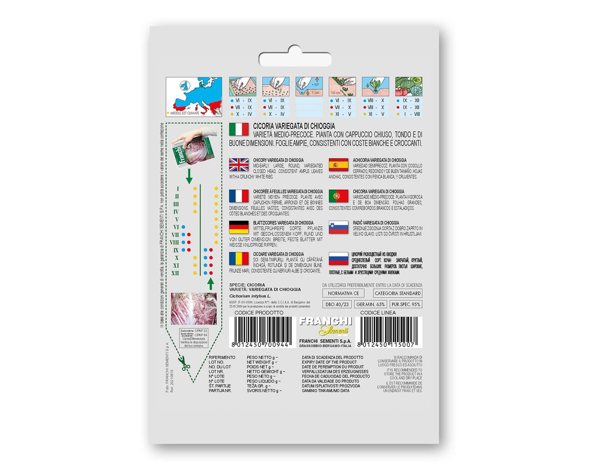 Semi di Cicoria Variegata Chioggia - Franchi sementi - immagine 2