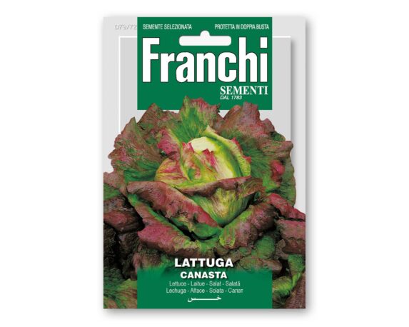 Semi di Lattuga Canasta – Franchi sementi