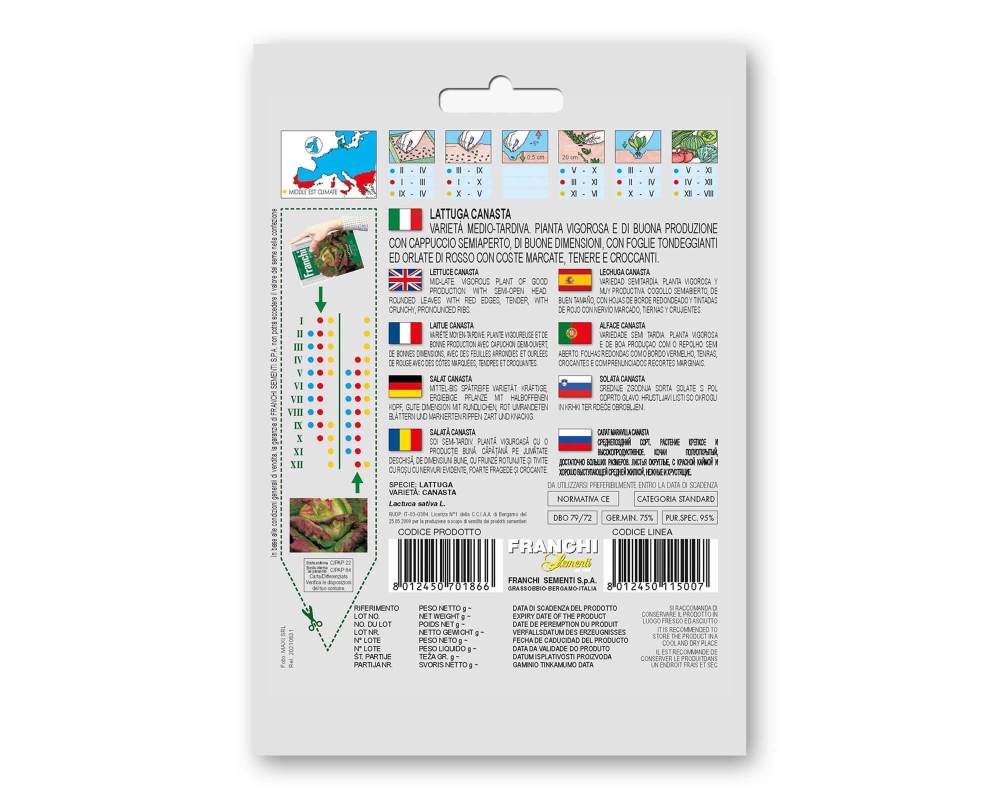 Semi di Lattuga Canasta - Franchi sementi - immagine 2
