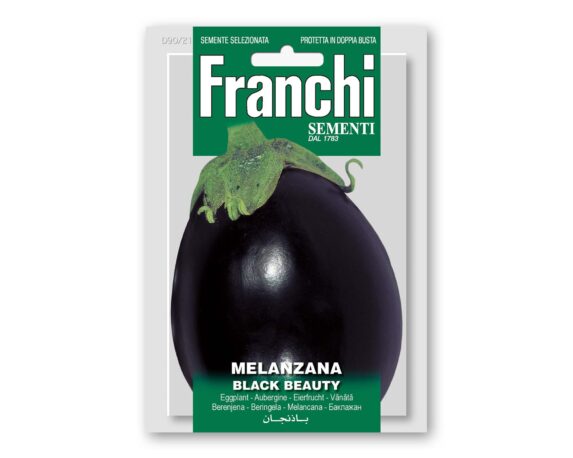 Semi di Melanzana Black Beauty – Franchi sementi