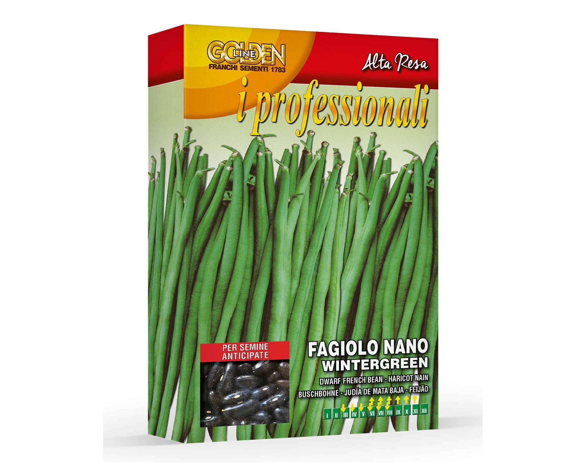 Semi di Fagiolo Nano Wintergreen - Franchi sementi