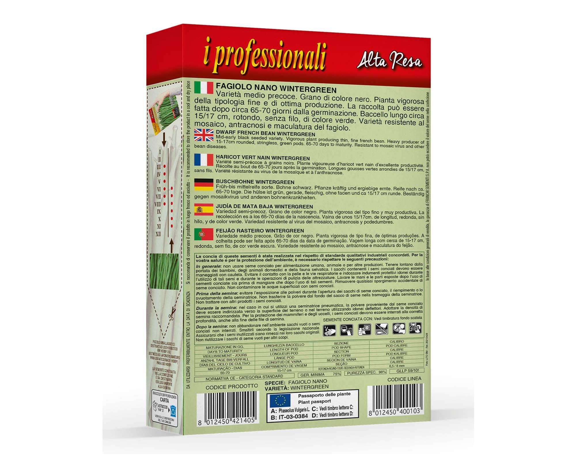 Semi di Fagiolo Nano Wintergreen - Franchi sementi - immagine 2