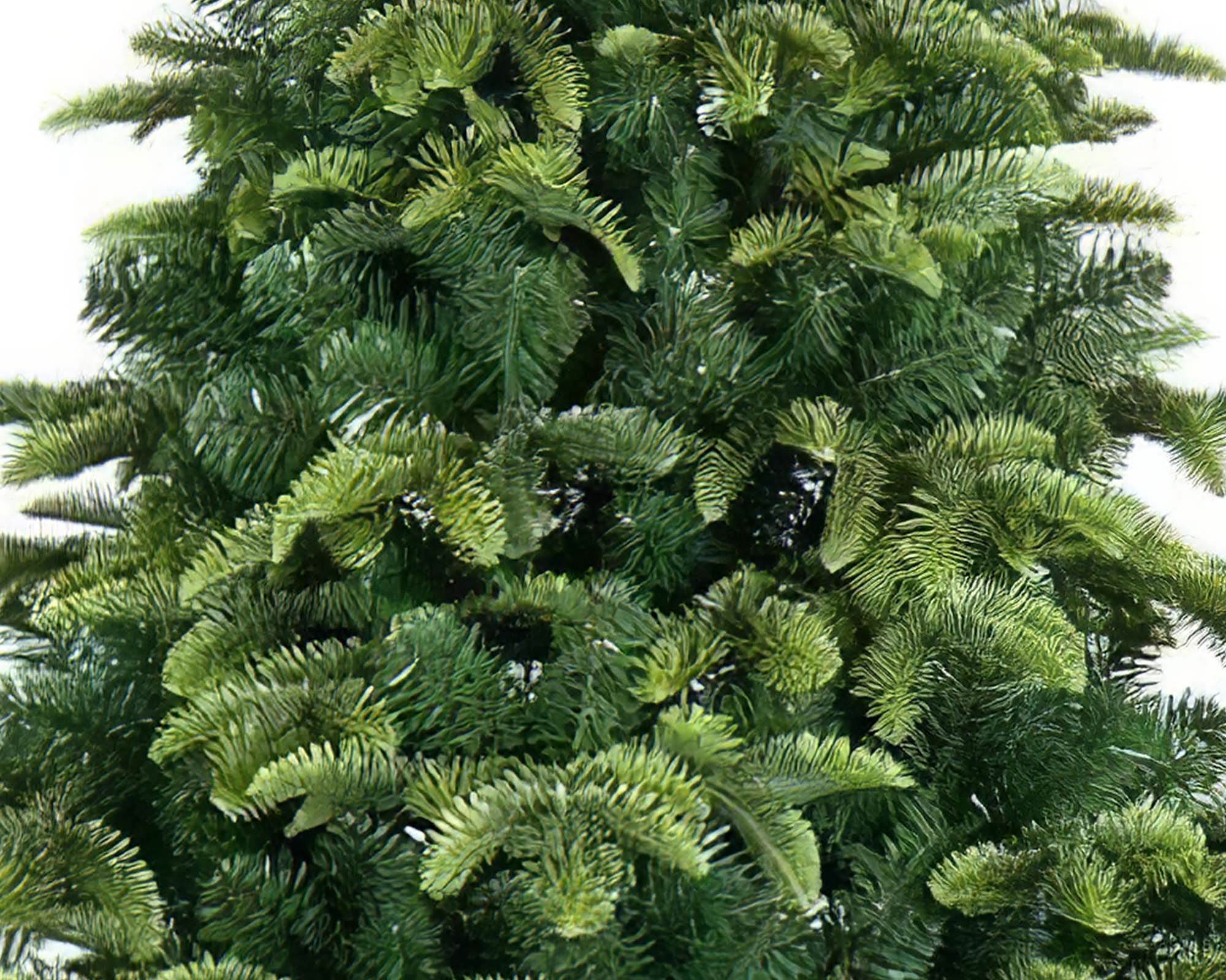 Albero Sintetico Dino 807 Rami in Metallo e PVC - immagine 2