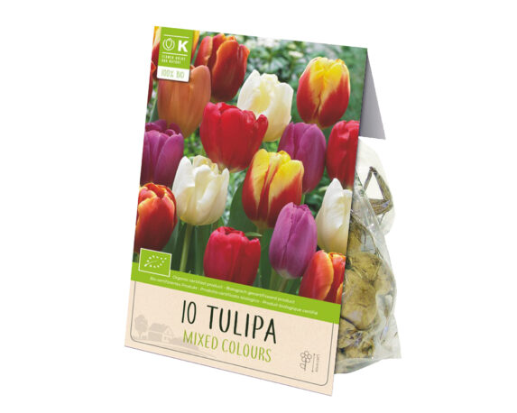Bulbo Tulipa Triumph Mix Color X10 (Tulipano) – Kapiteyn