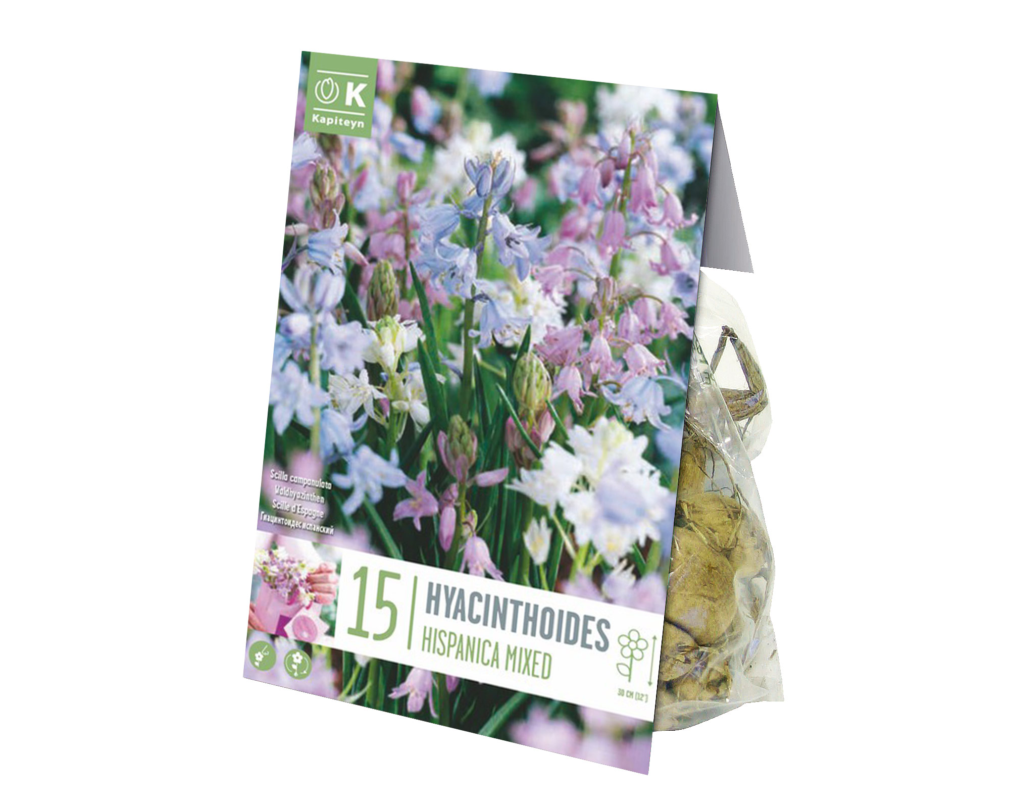Bulbo Hyacinthoides Mix Color X15 (Giacinto Selvatico) - Kapiteyn