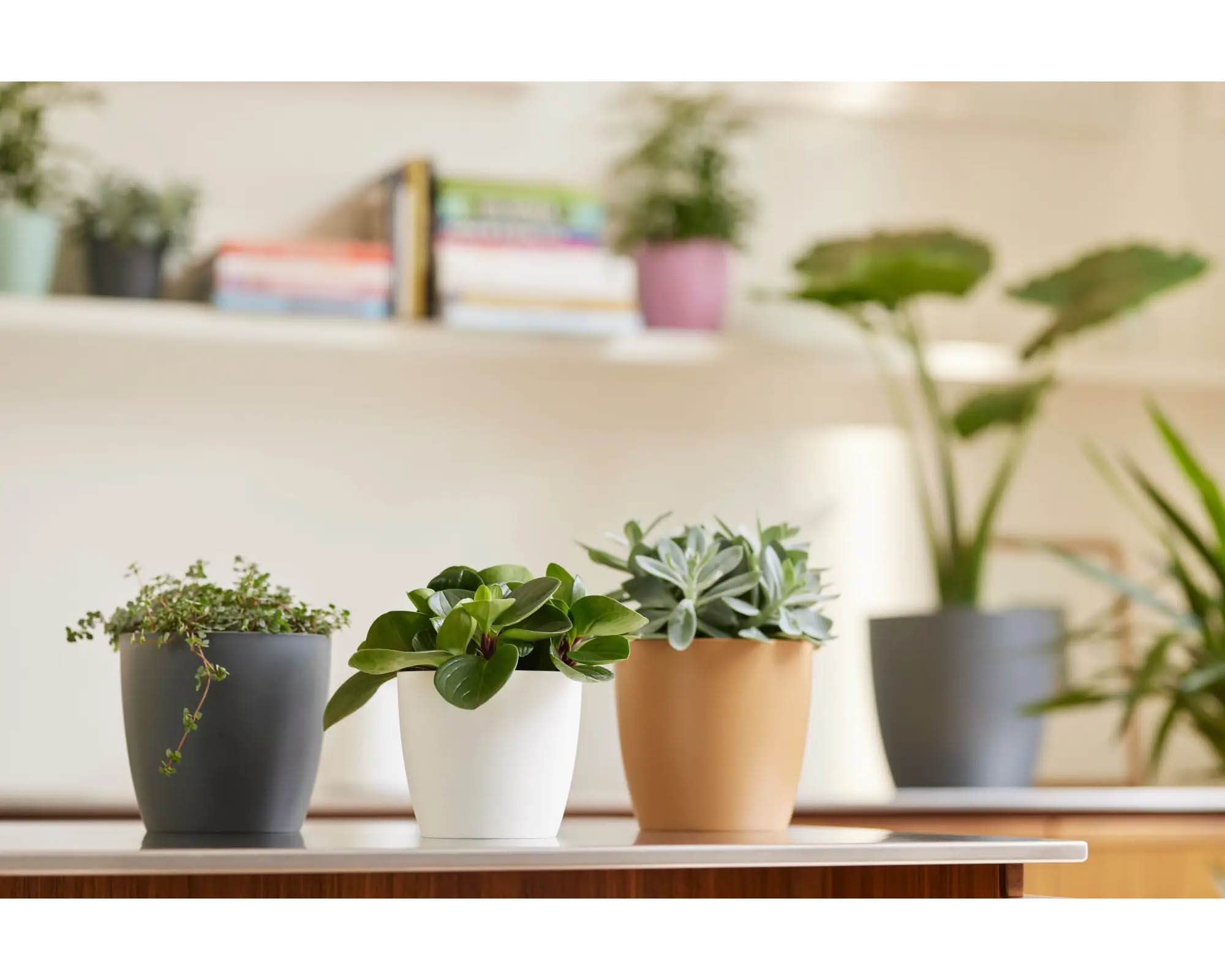 Cachepot Tondo Brussels Bianco 20cm in Plastica Riciclata - Elho - immagine 6