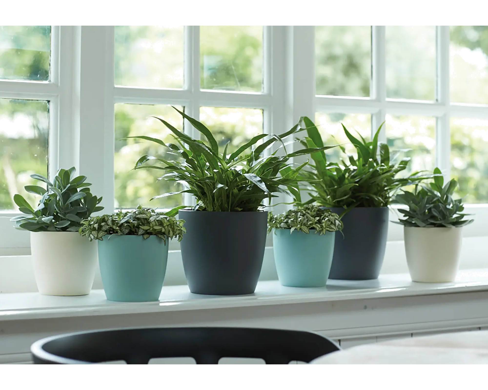 Cachepot Tondo Brussels Antracite 25cm in Plastica Riciclata - Elho - immagine 9