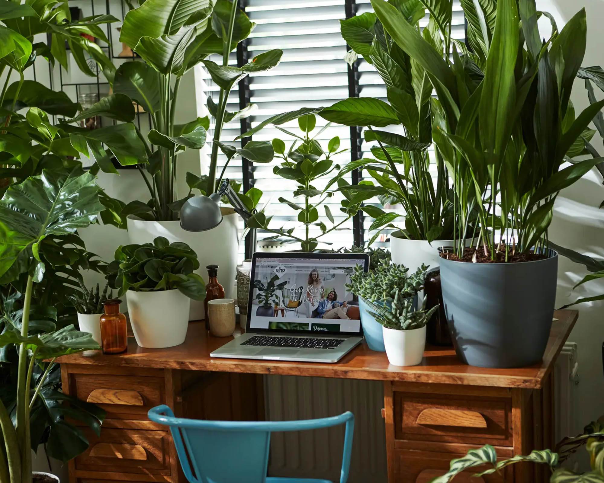 Cachepot Tondo Brussels Antracite 30cm in Plastica Riciclata - Elho - immagine 10