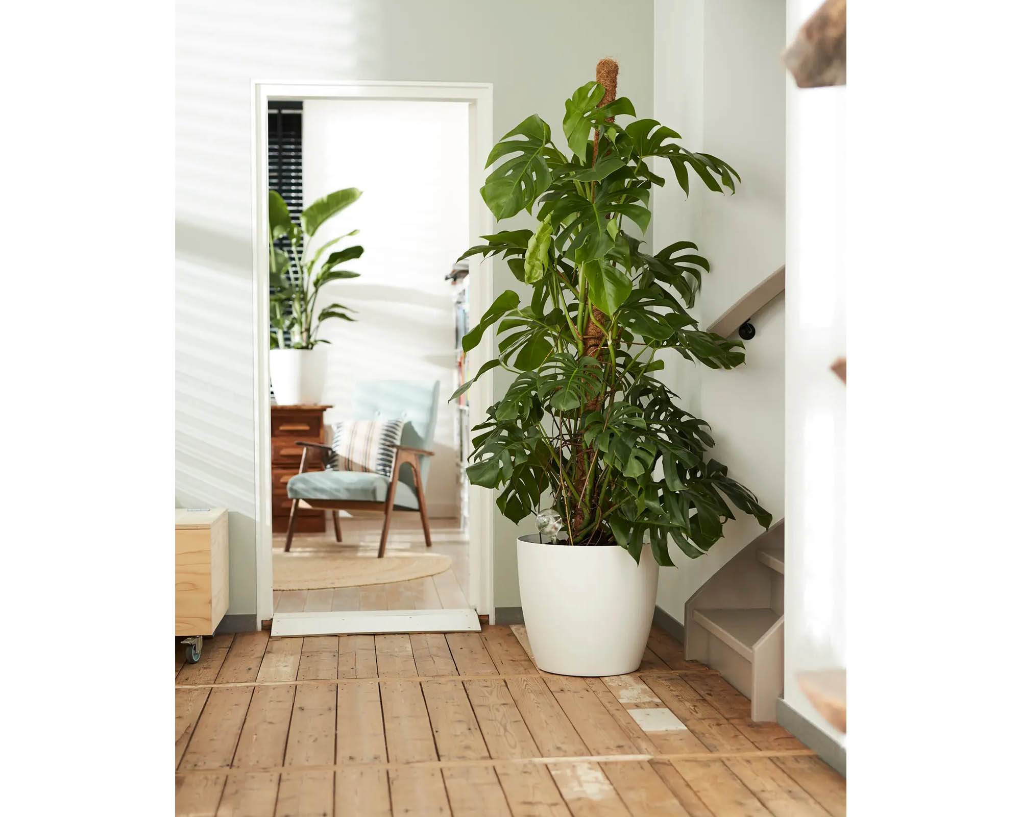 Cachepot Tondo Brussels con Ruote Bianco D47 in Plastica Riciclata - Elho - immagine 10