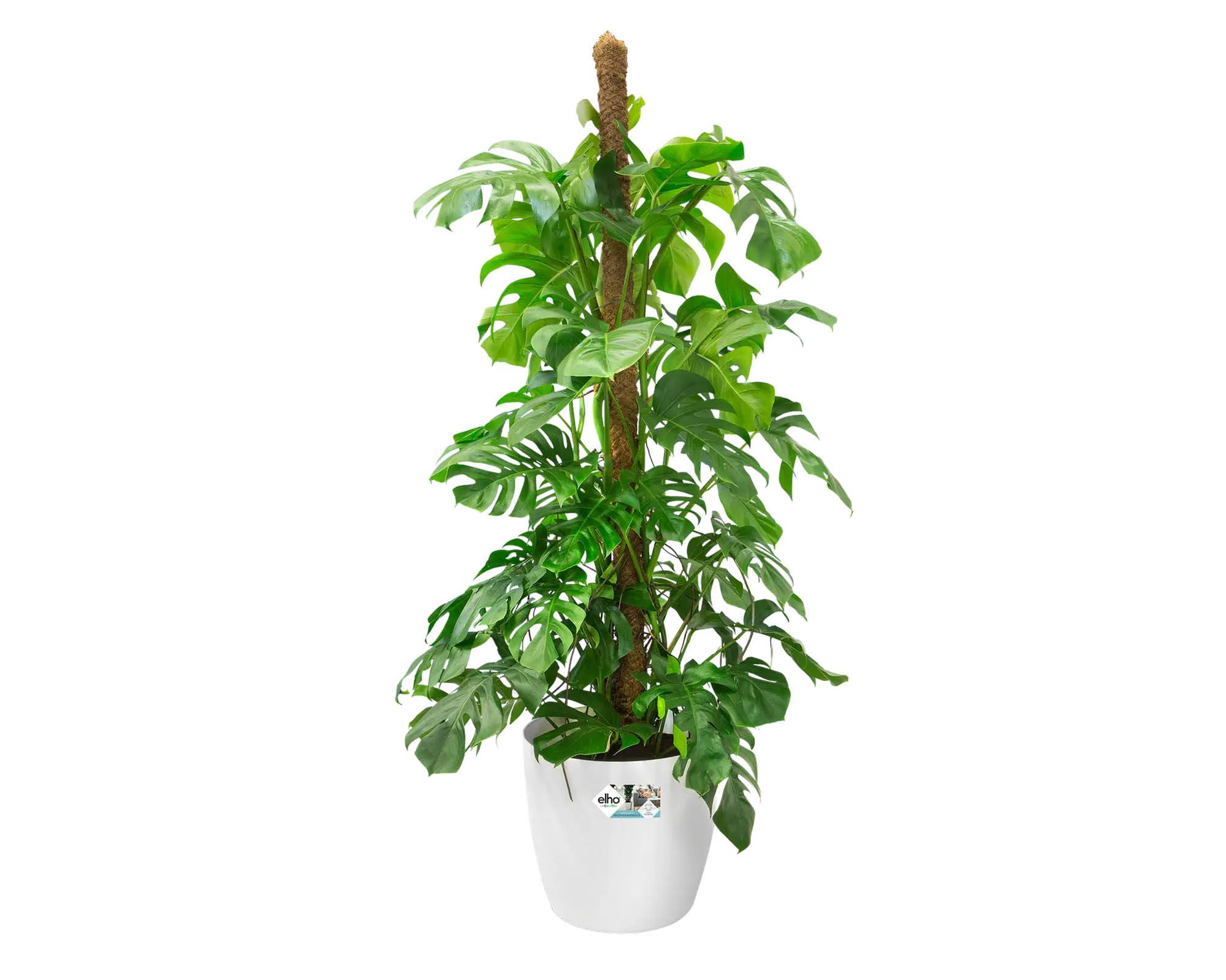 Cachepot Tondo Brussels con Ruote Bianco D47 in Plastica Riciclata - Elho - immagine 9