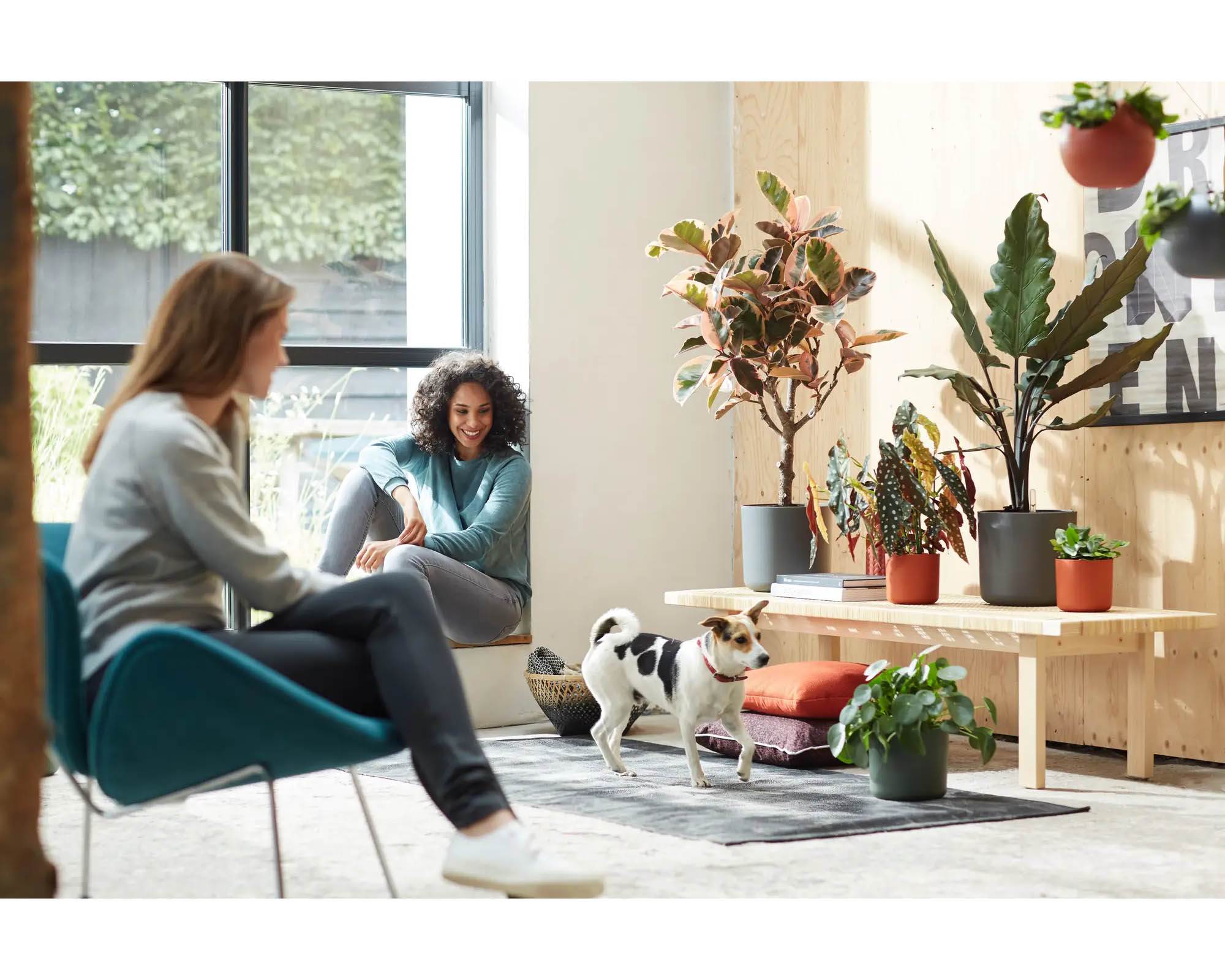 Cachepot Tondo B for Soft Antracite 14cm in Plastica Riciclata - Elho - immagine 13