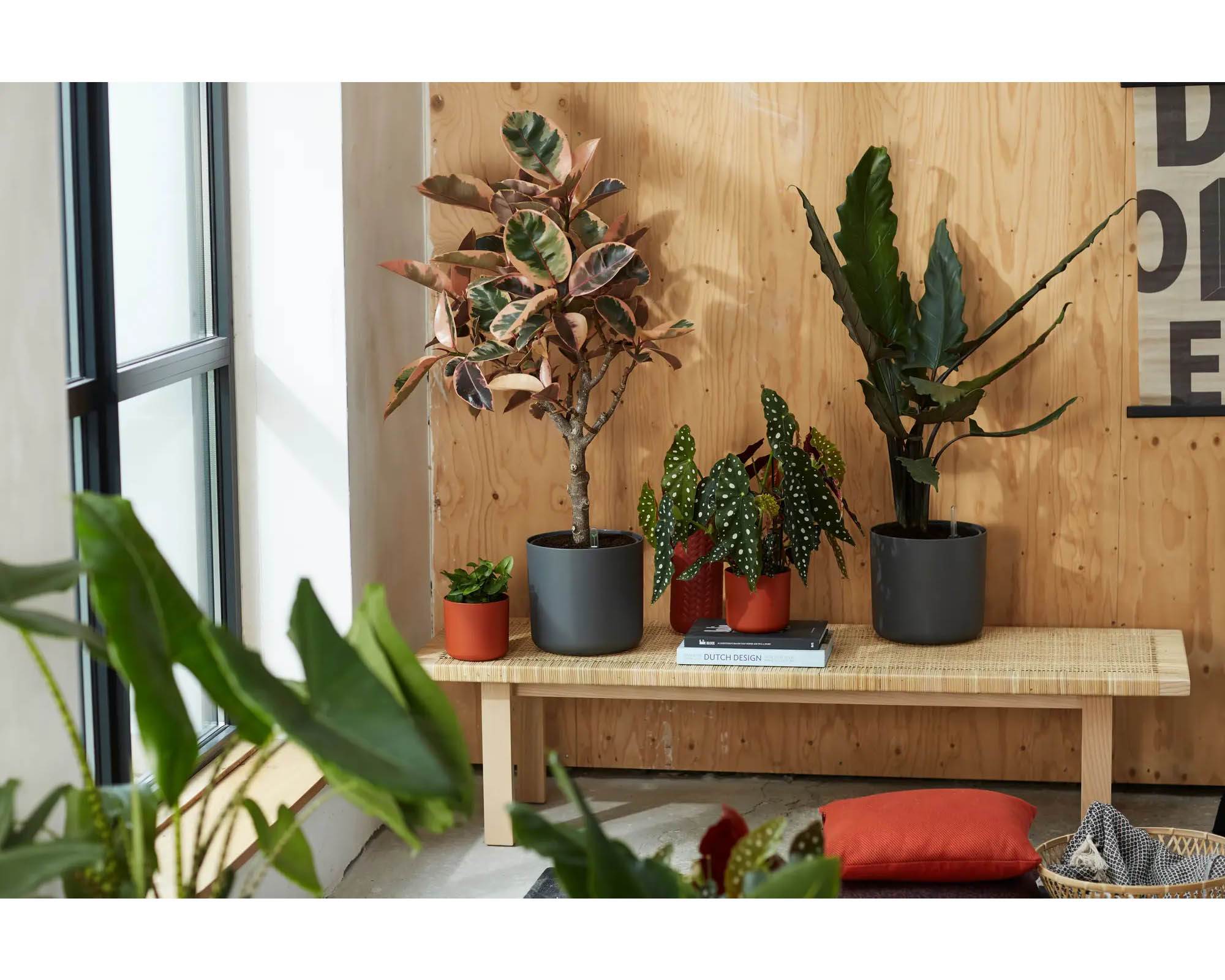 Cachepot Tondo B for Soft Antracite 16cm in Plastica Riciclata - Elho - immagine 10