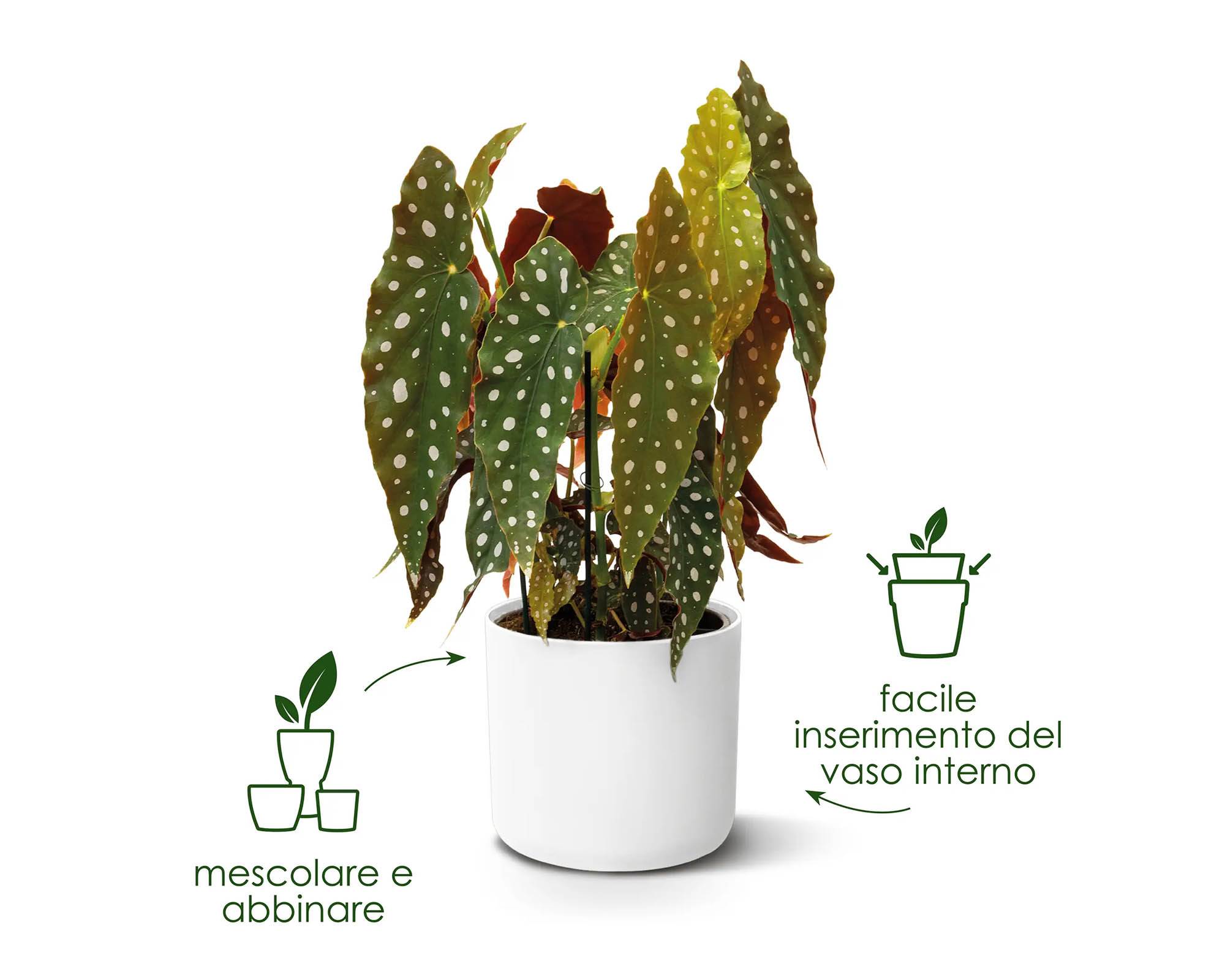 Cachepot Tondo B for Soft Antracite 16cm in Plastica Riciclata - Elho - immagine 14