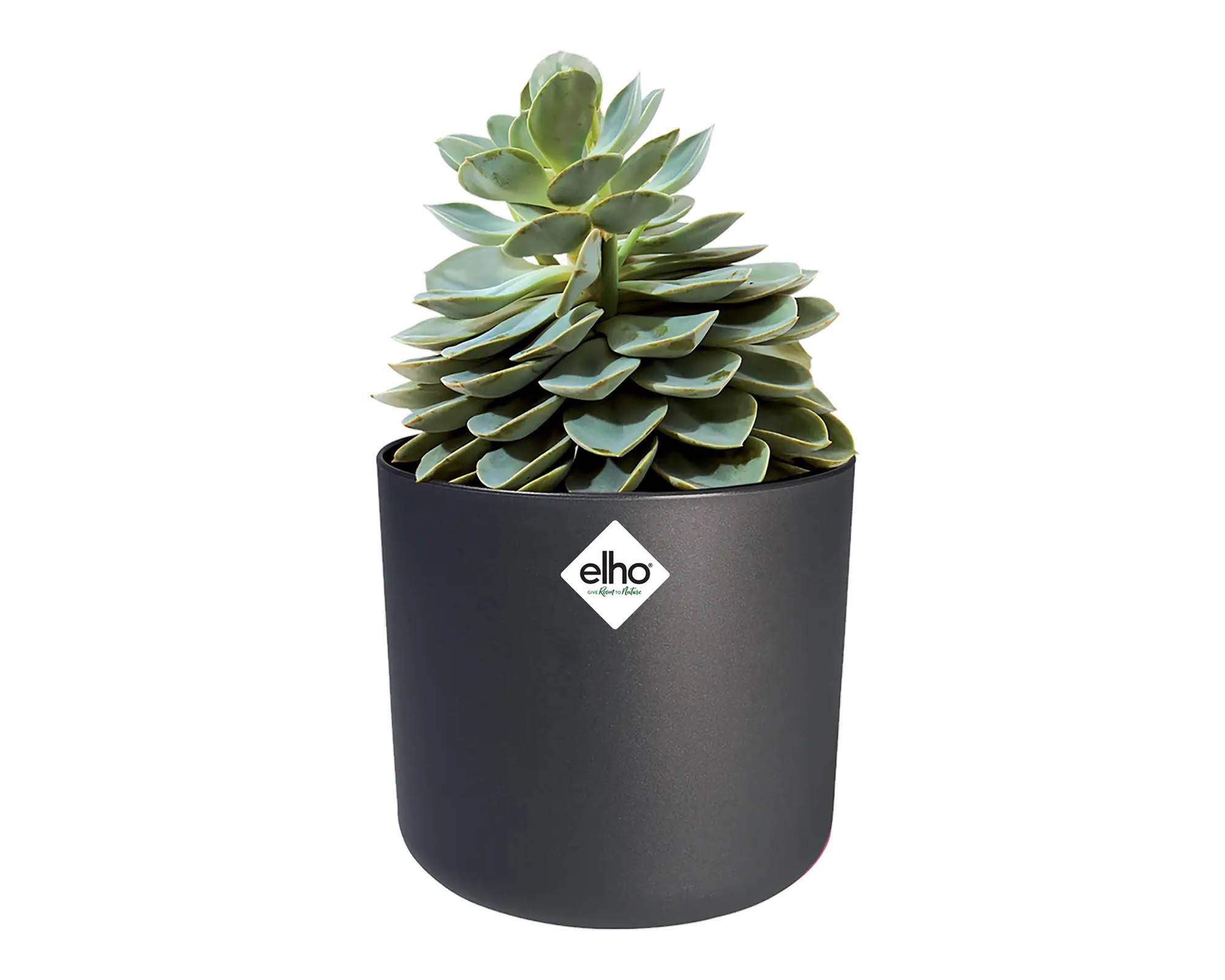 Cachepot Tondo B for Soft Antracite 18cm in Plastica Riciclata - Elho - immagine 8