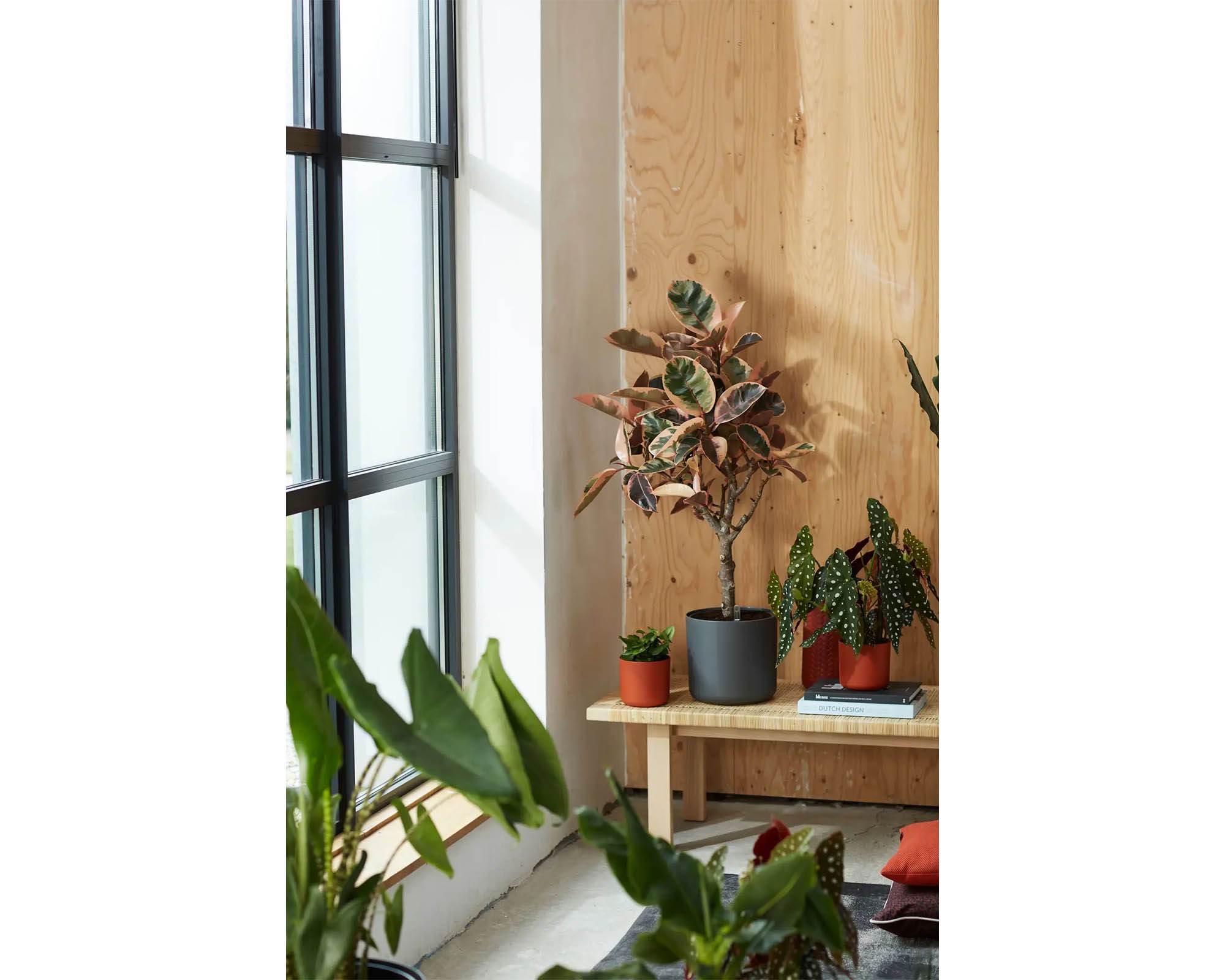 Cachepot Tondo B for Soft Antracite 18cm in Plastica Riciclata - Elho - immagine 11