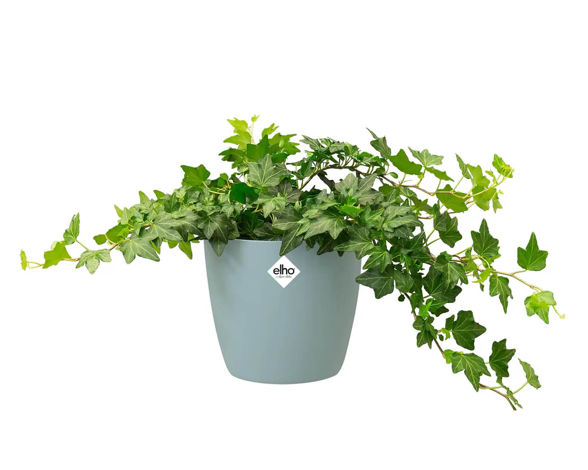 Cachepot Tondo Brussels Menta 18cm in Plastica Riciclata - Elho - immagine 6