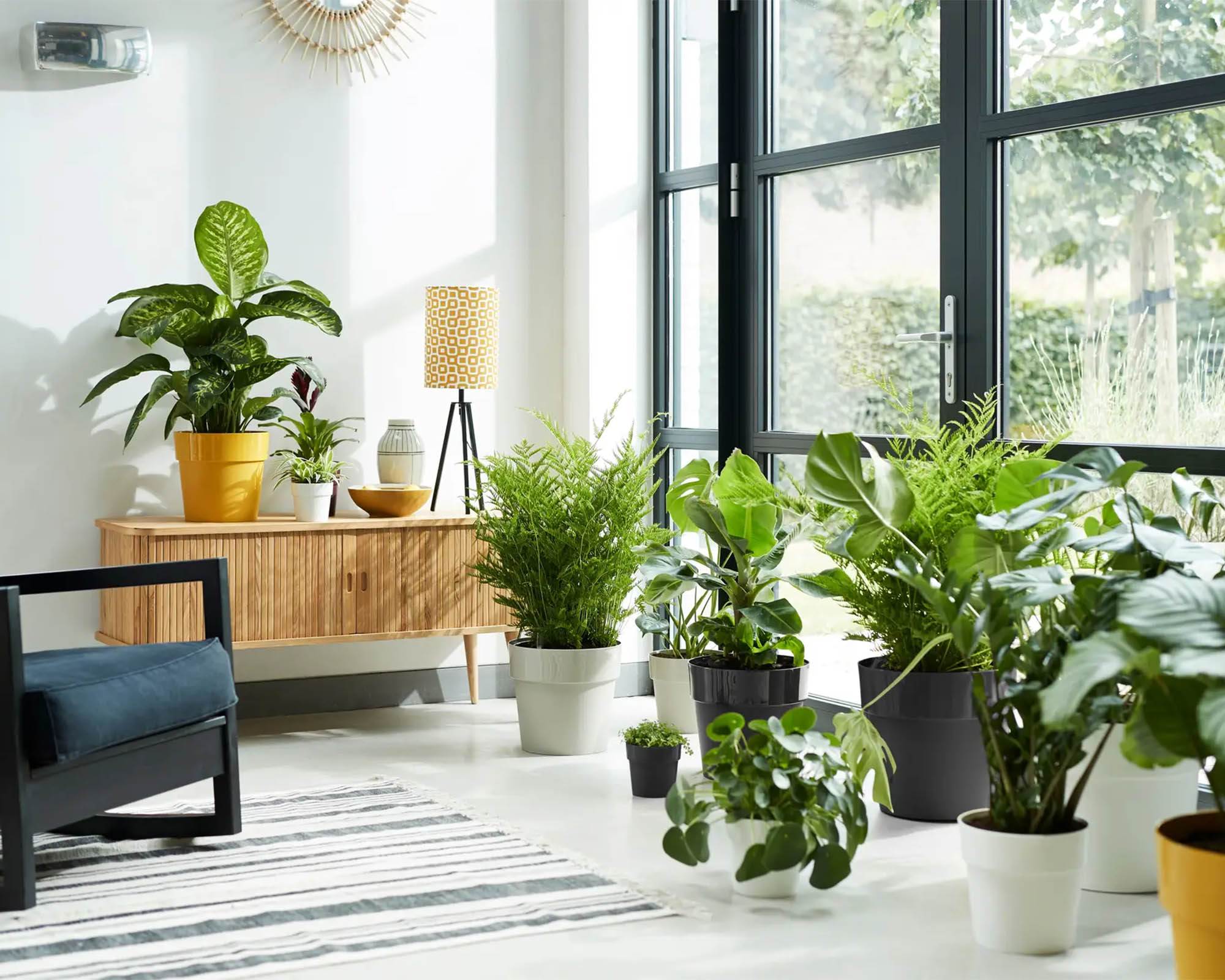 Cachepot B for Original Bianco D14cm in Plastica Riciclata - Elho - immagine 8