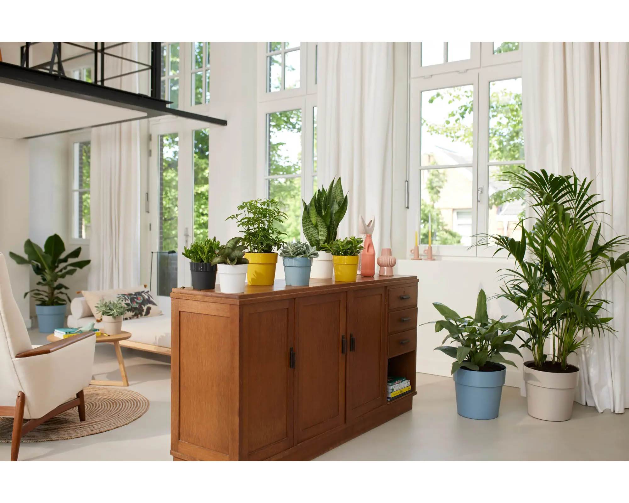 Cachepot B for Original Ocra D16cm in Plastica Riciclata - Elho - immagine 8