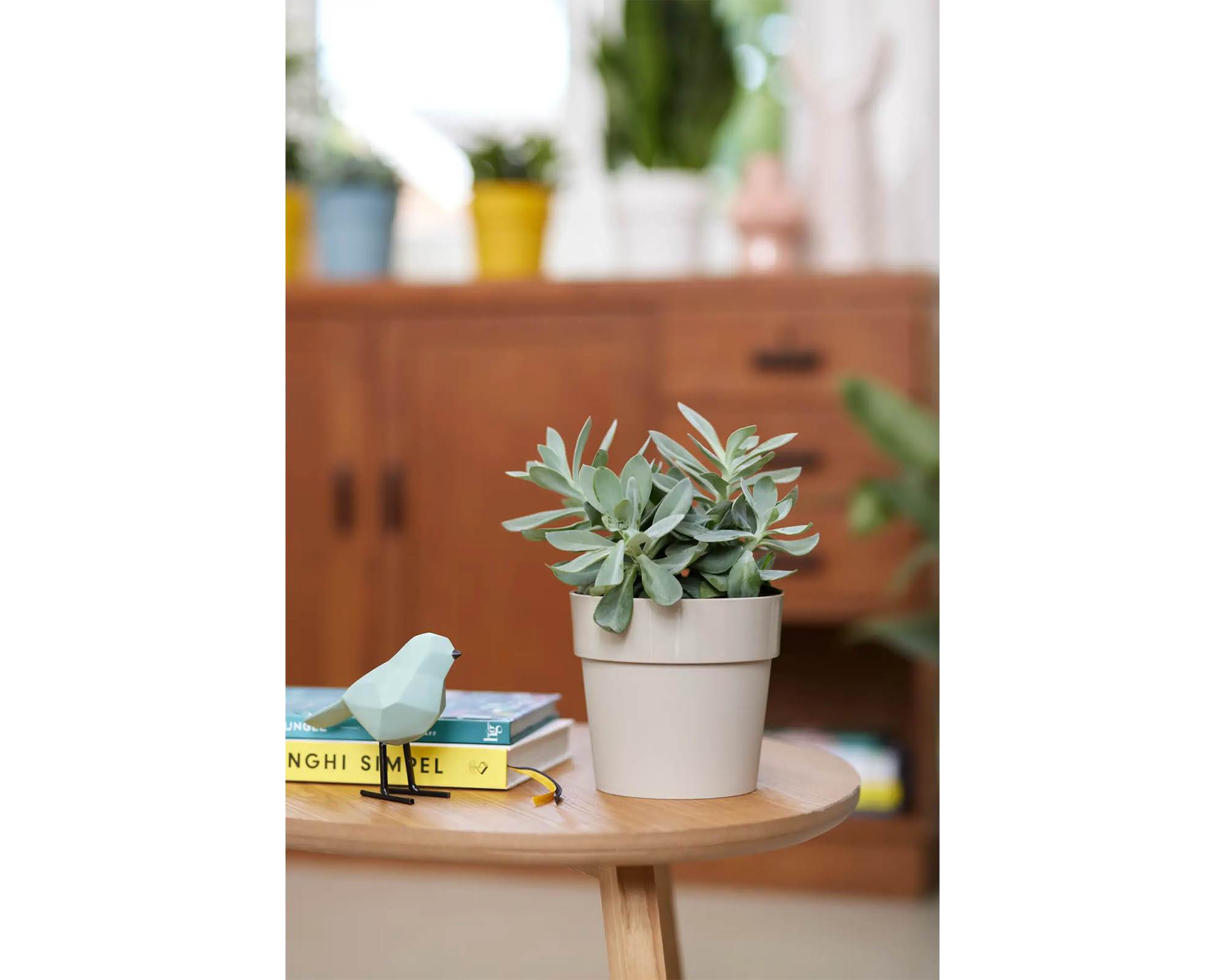 Cachepot B for Original Grigio D16cm in Plastica Riciclata - Elho - immagine 5