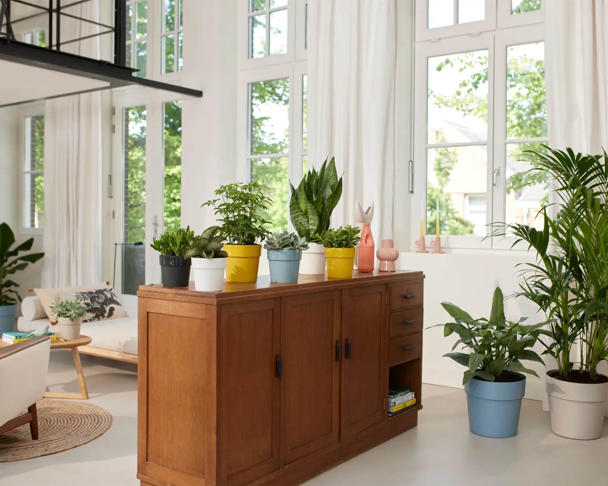 Cachepot B for Original Bianco D22cm in Plastica Riciclata - Elho - immagine 6