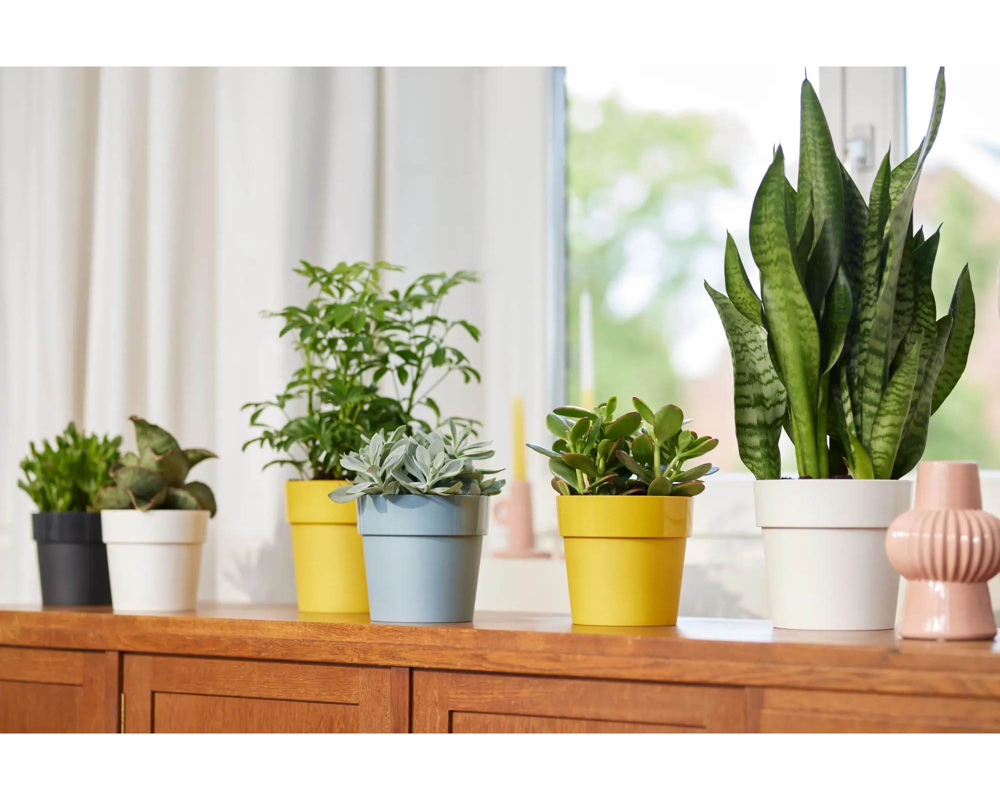 Cachepot B for Original Bianco D30cm in Plastica Riciclata - Elho - immagine 7