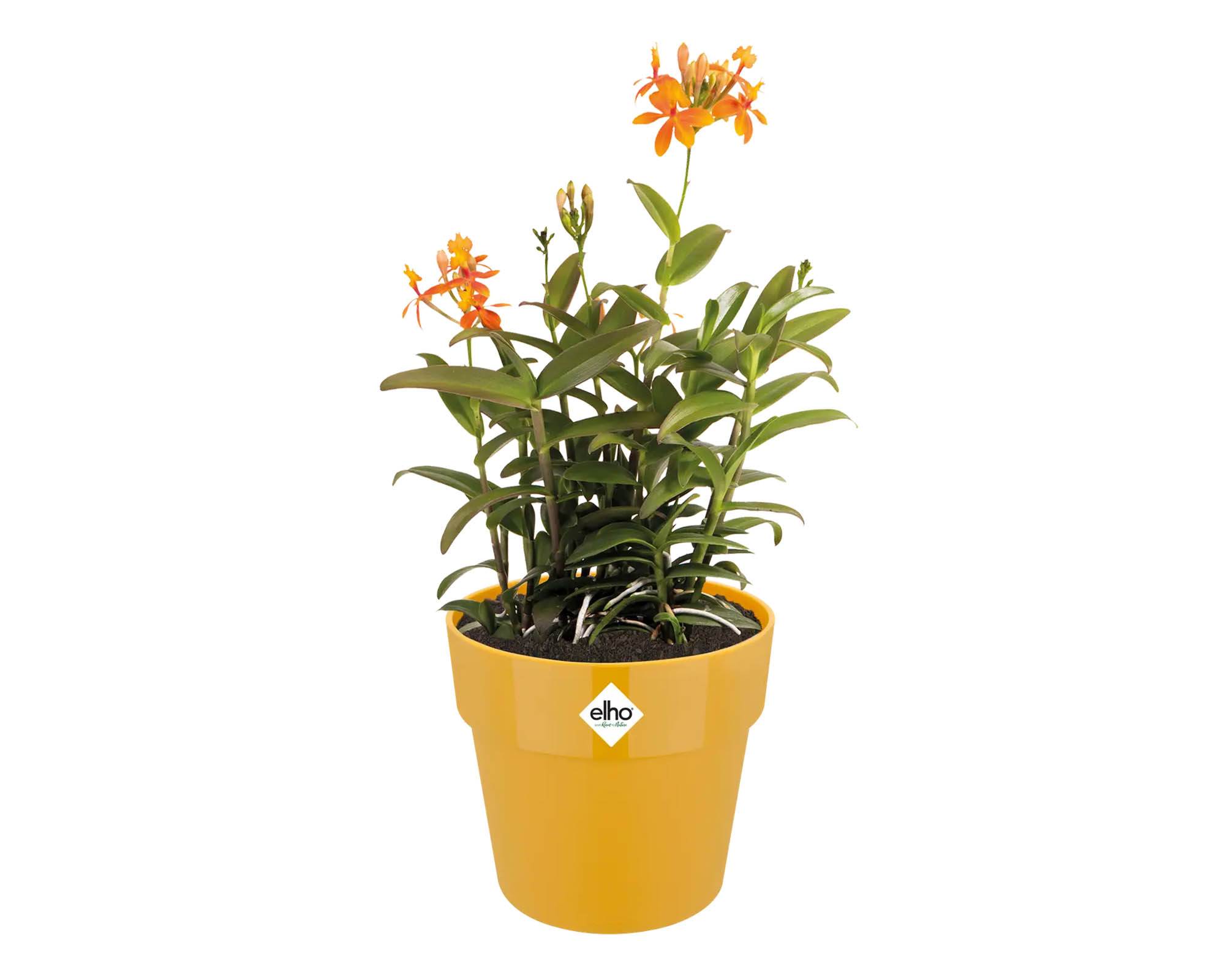 Cachepot B for Original Ocra D35cm in Plastica Riciclata - Elho - immagine 5