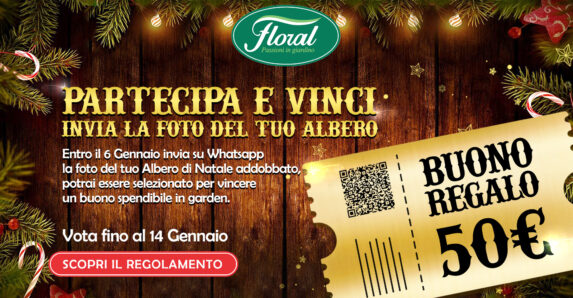 Torna Istanti Di Natale Con Floral: Vinci Un Buono Regalo Con La Foto Del Tuo Albero