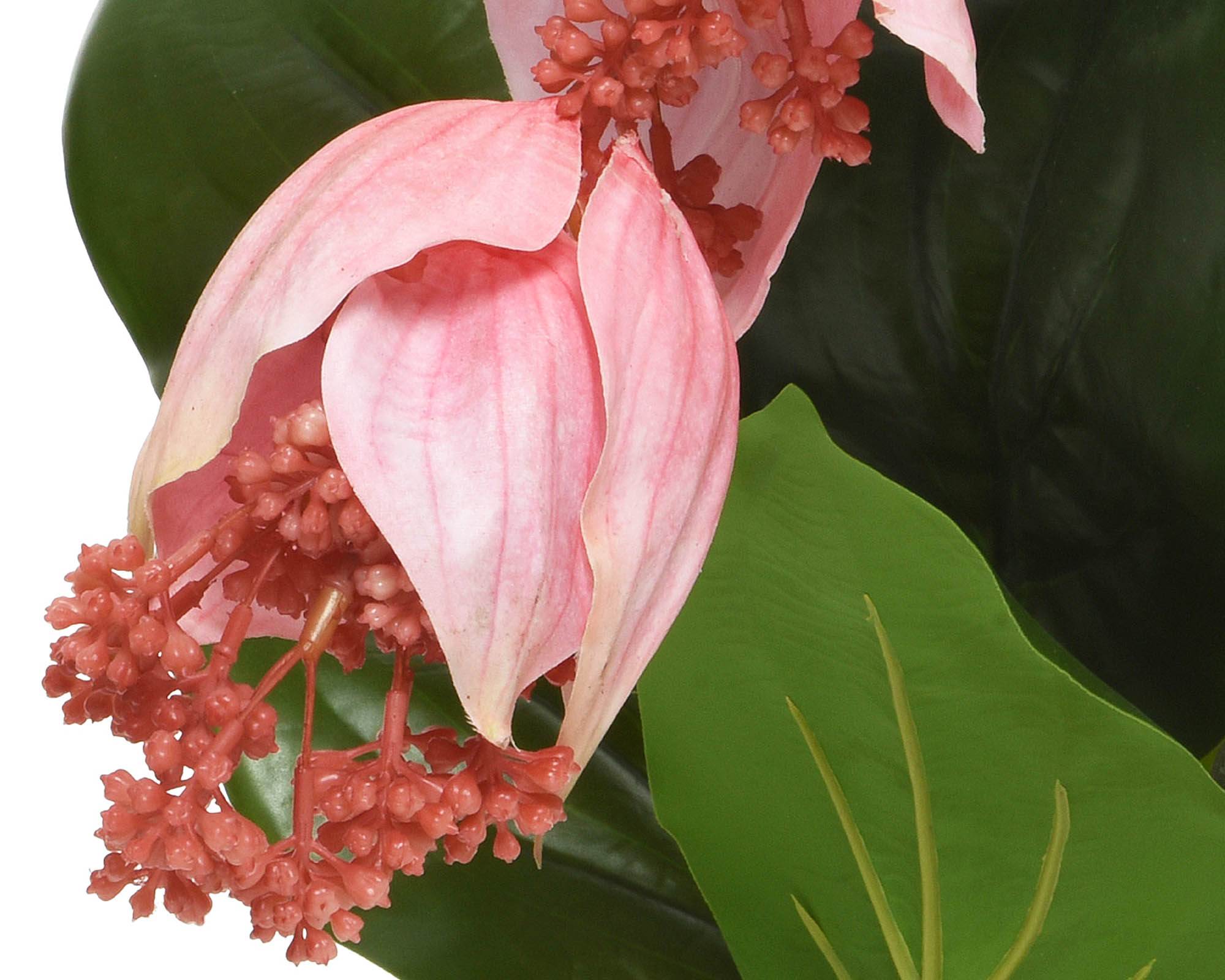 Medinilla Artificiale in Vaso 49x50x23cm in Plastica - Kaemingk - immagine 2