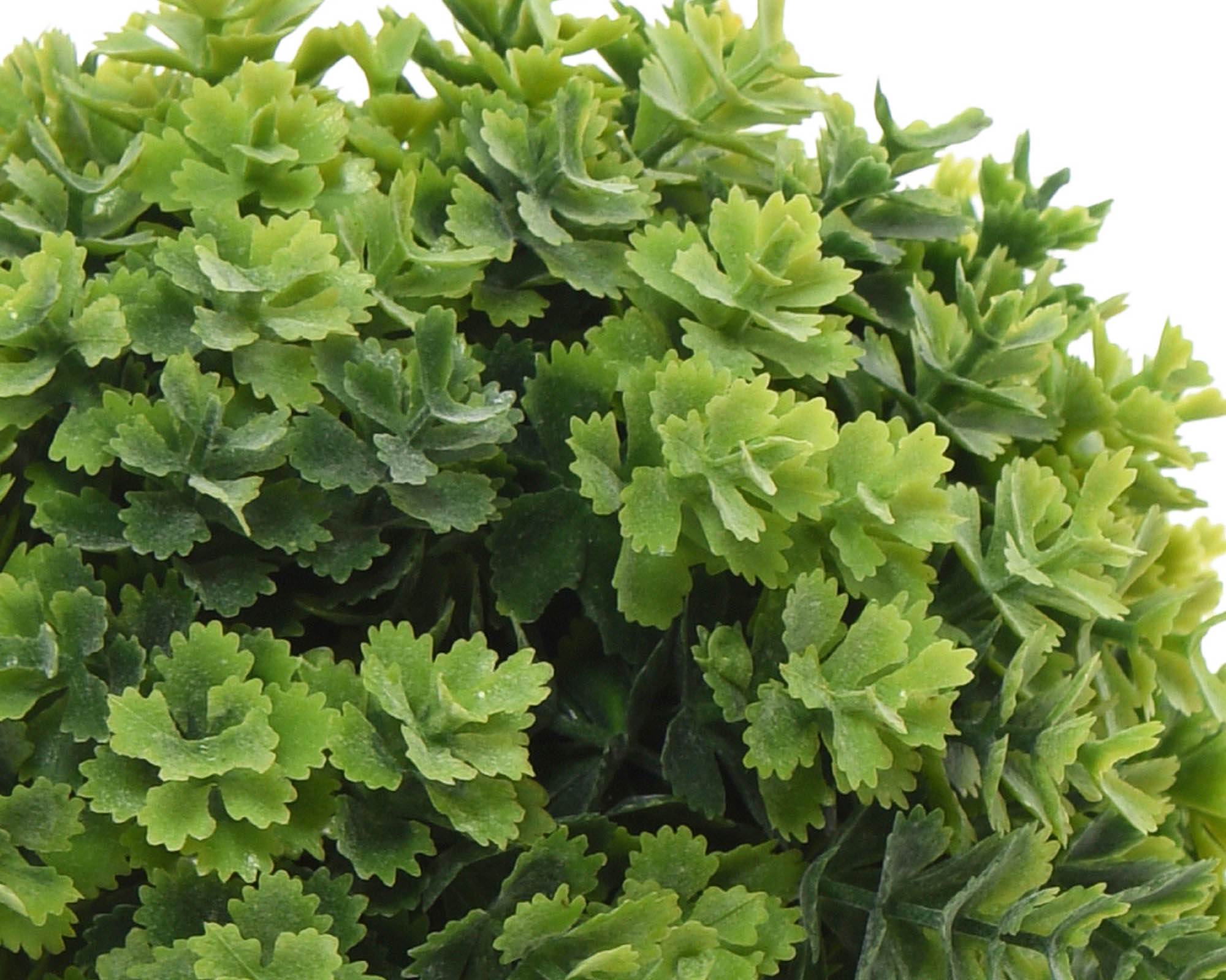 Pianta Verde con Ciotola Assortito 13x12cm in Plastica - Kaemingk - immagine 2