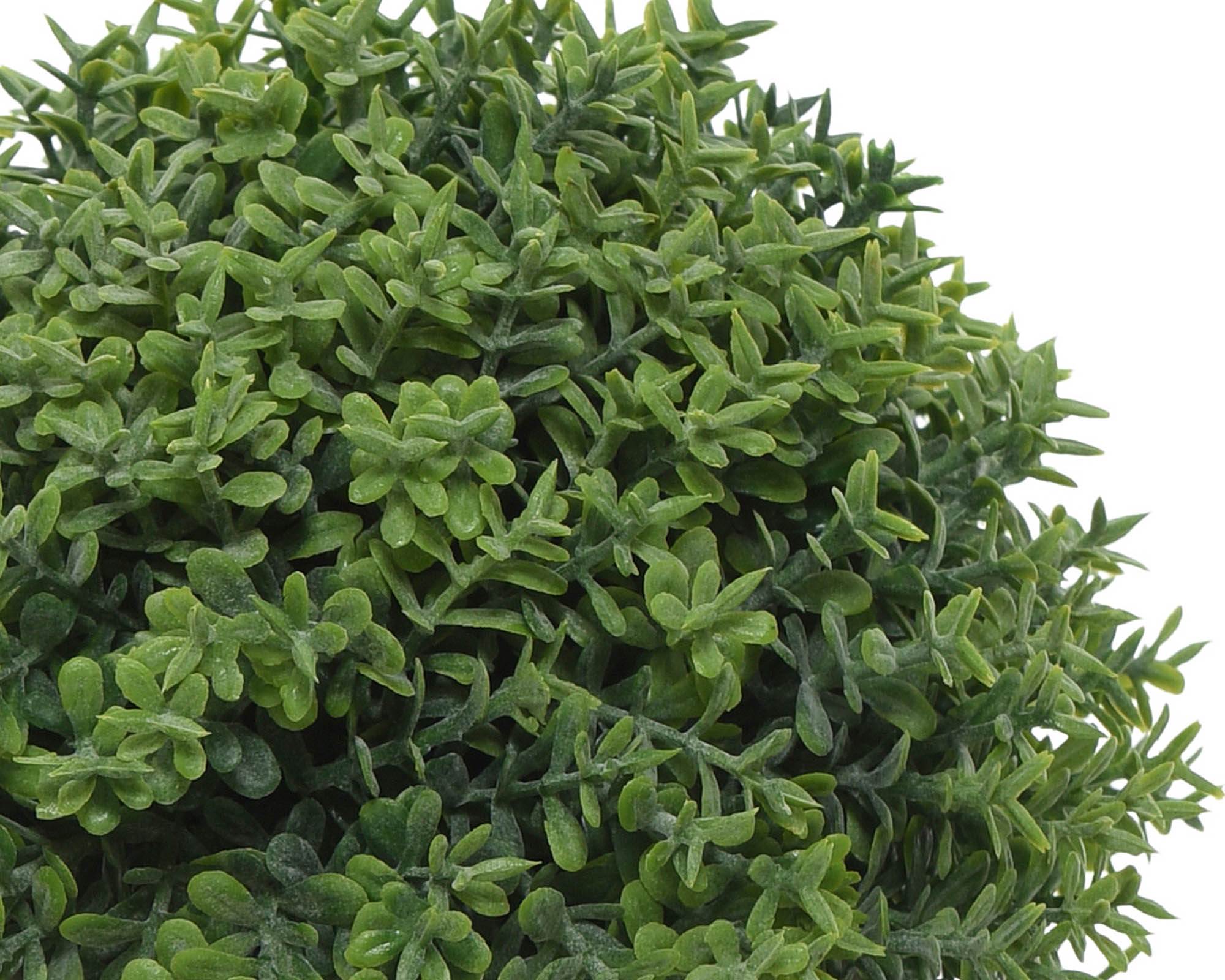 Pianta Verde con Ciotola Assortito 13x12cm in Plastica - Kaemingk - immagine 4