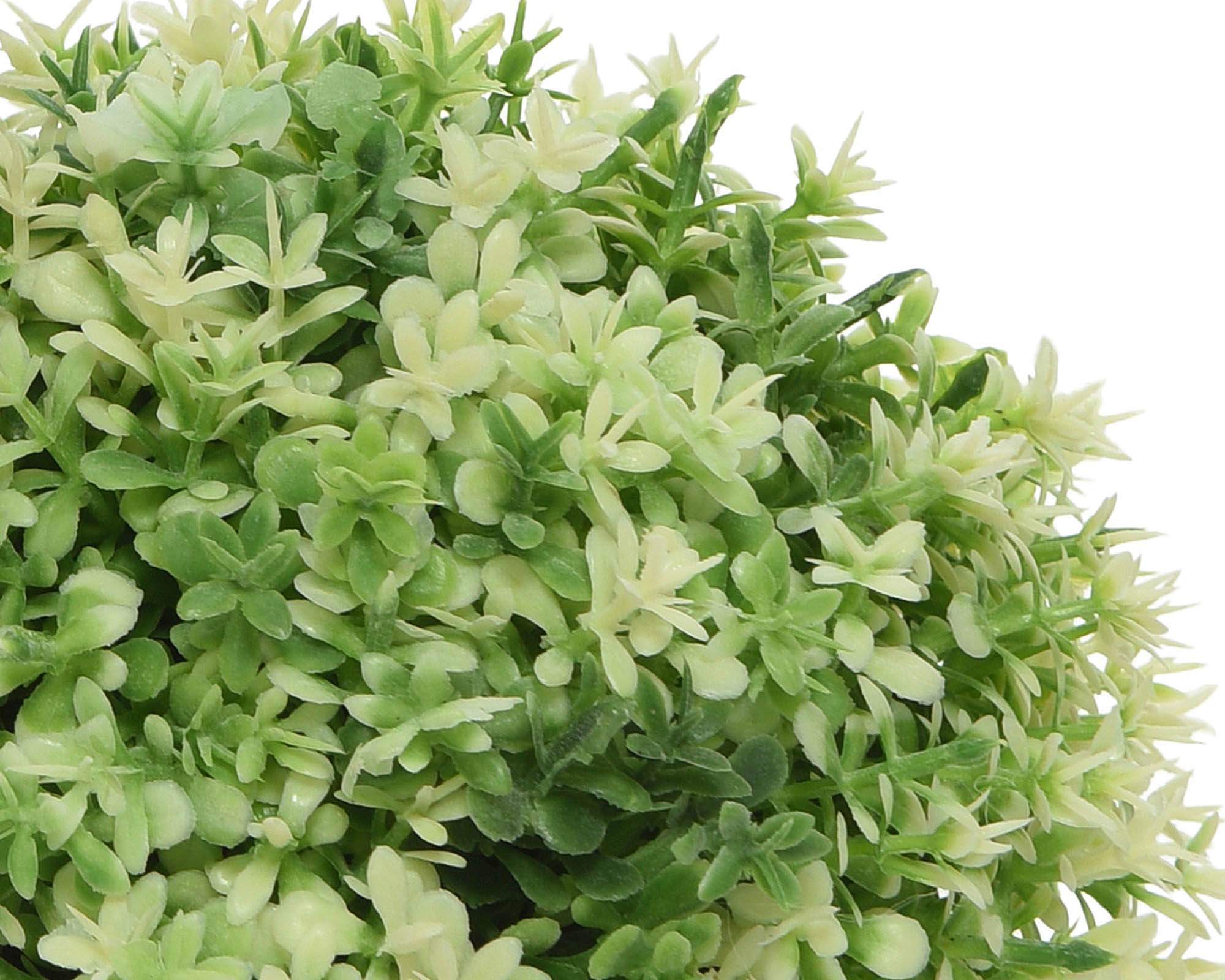 Pianta Verde con Ciotola Assortito 13x12cm in Plastica - Kaemingk - immagine 5