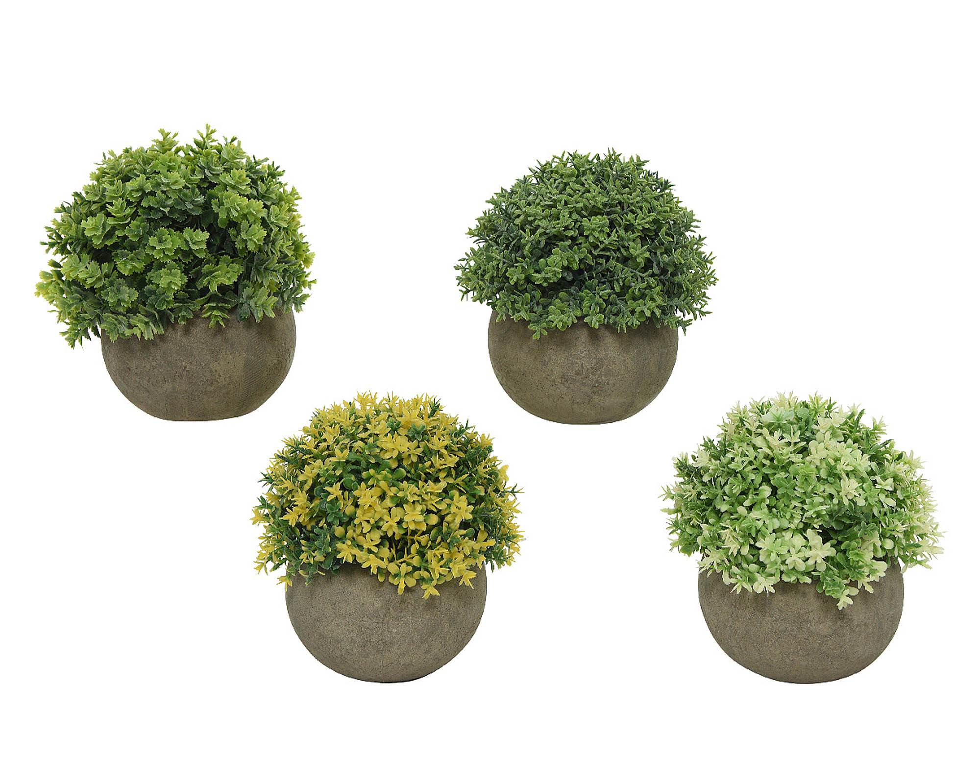 Pianta Verde con Ciotola Assortito 13x12cm in Plastica - Kaemingk