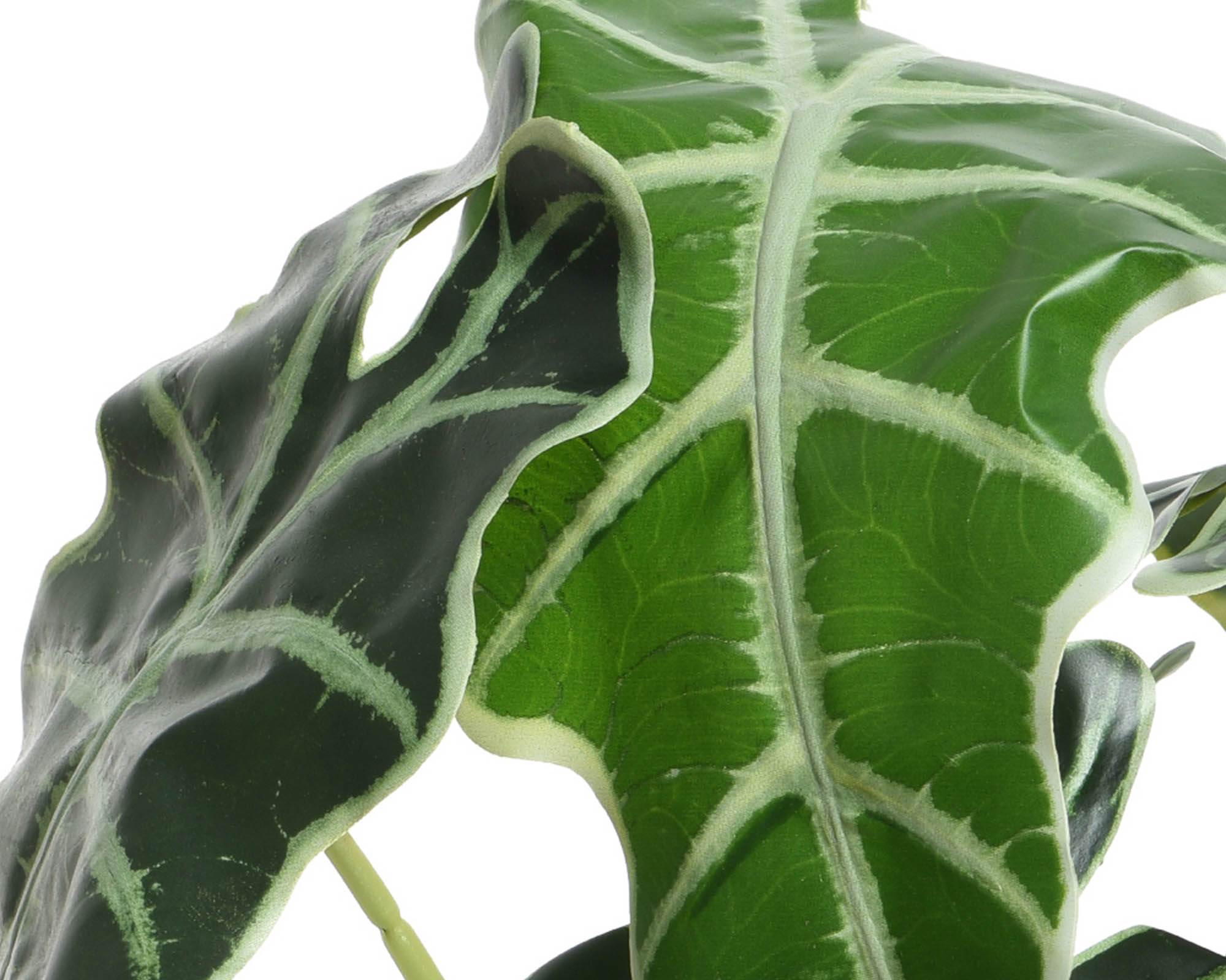 Alocasia Artificiale con Vaso D27x50cm in Plastica - Kaemingk - immagine 2