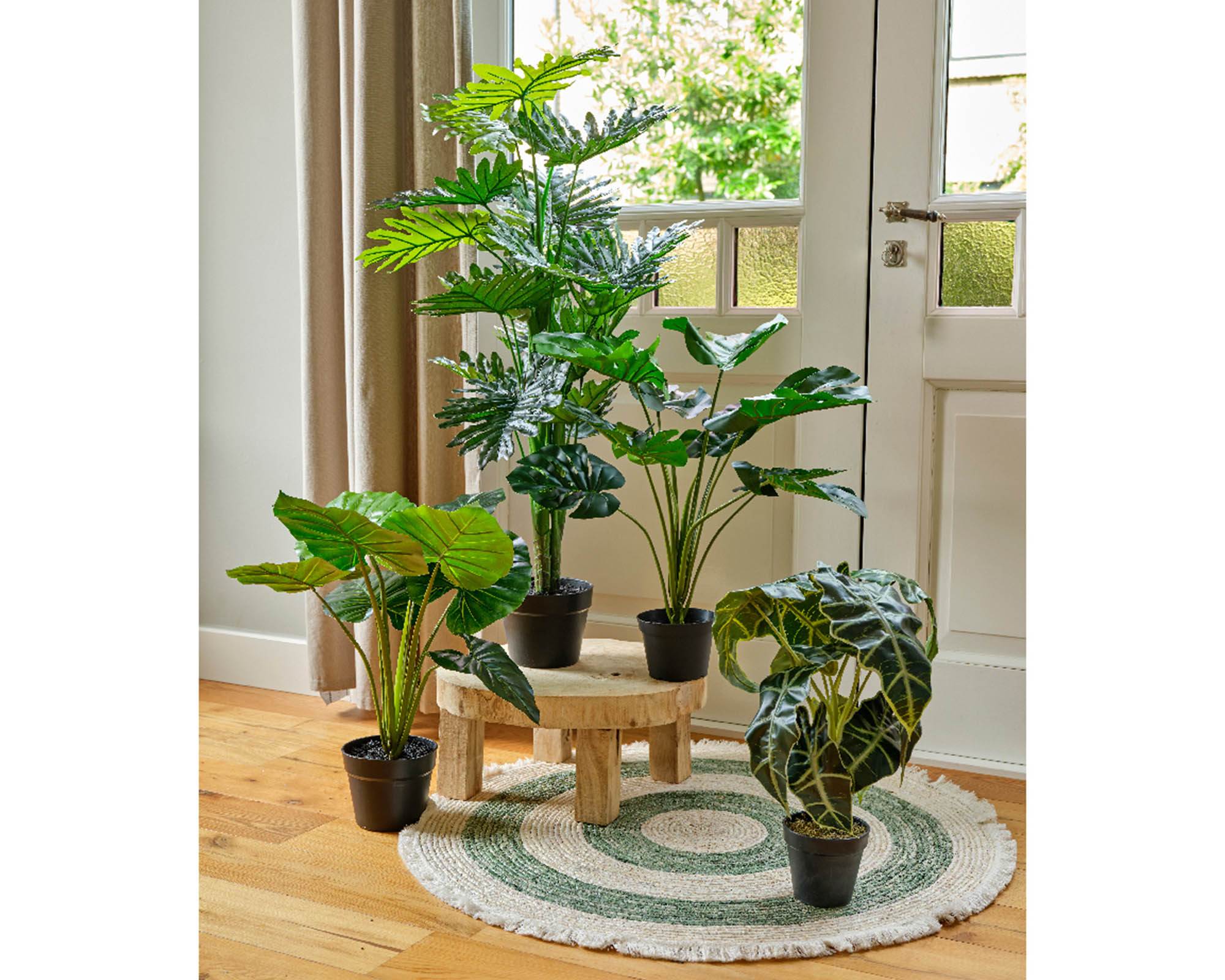 Alocasia Artificiale con Vaso D27x50cm in Plastica - Kaemingk - immagine 3