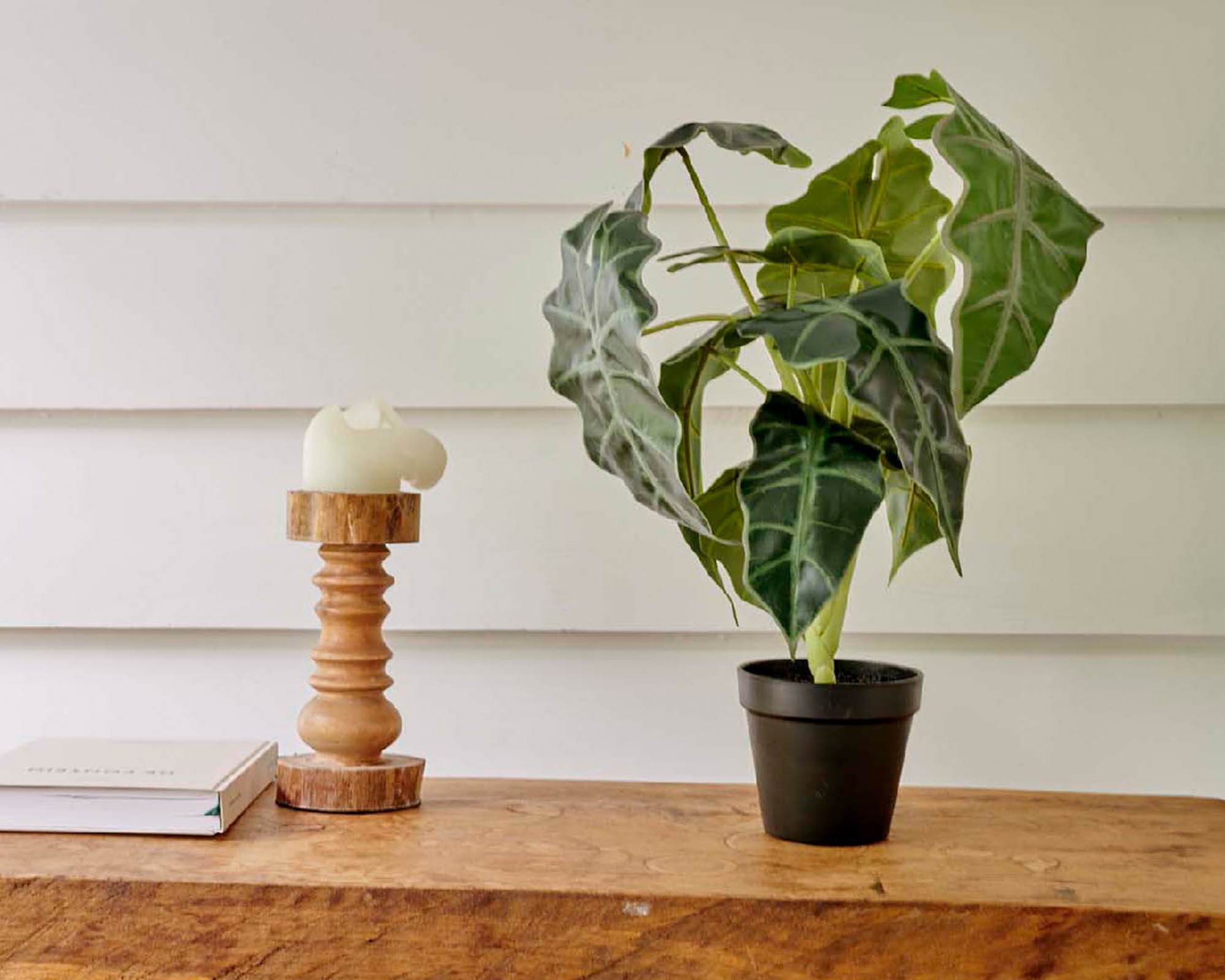 Alocasia Artificiale con Vaso D27x50cm in Plastica - Kaemingk - immagine 4