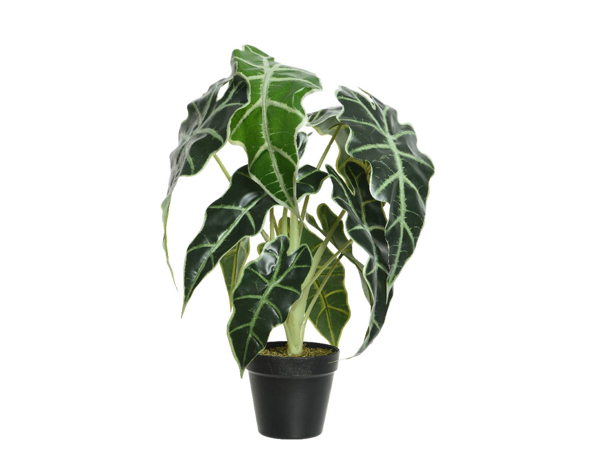 Alocasia Artificiale con Vaso D27x50cm in Plastica - Kaemingk