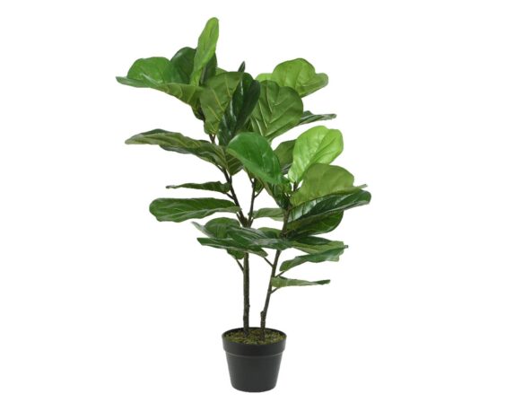 Ficus Artificiale Con Vaso 54x54x97cm In Plastica – Kaemingk