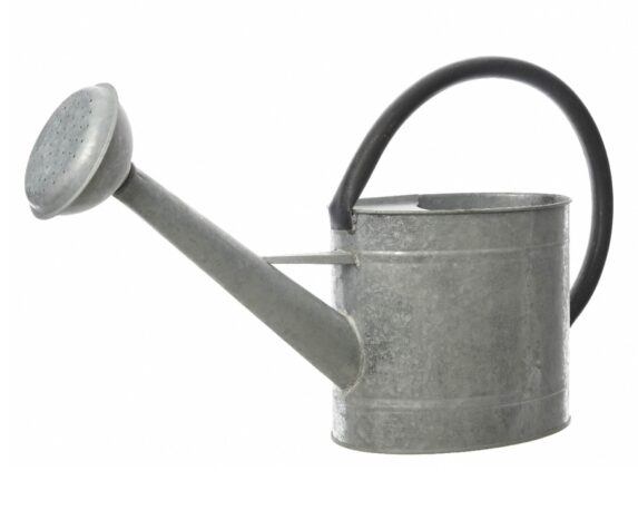 Annaffiatoio Grigio Anticato da Esterno 5L in Ferro – Kaemingk