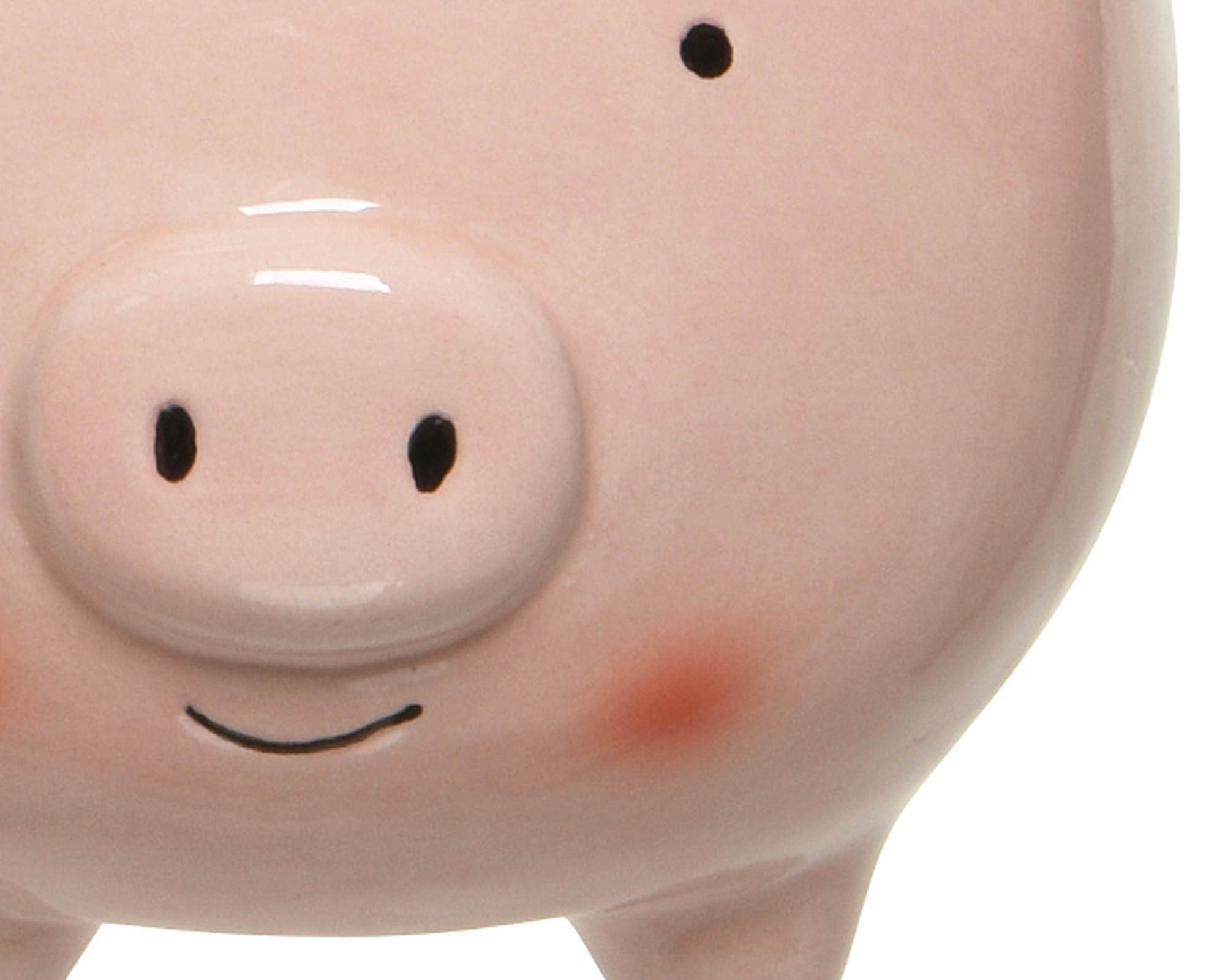 Cachepot Animali Assortito 9x9x9cm in Dolomite - Kaemingk - immagine 6