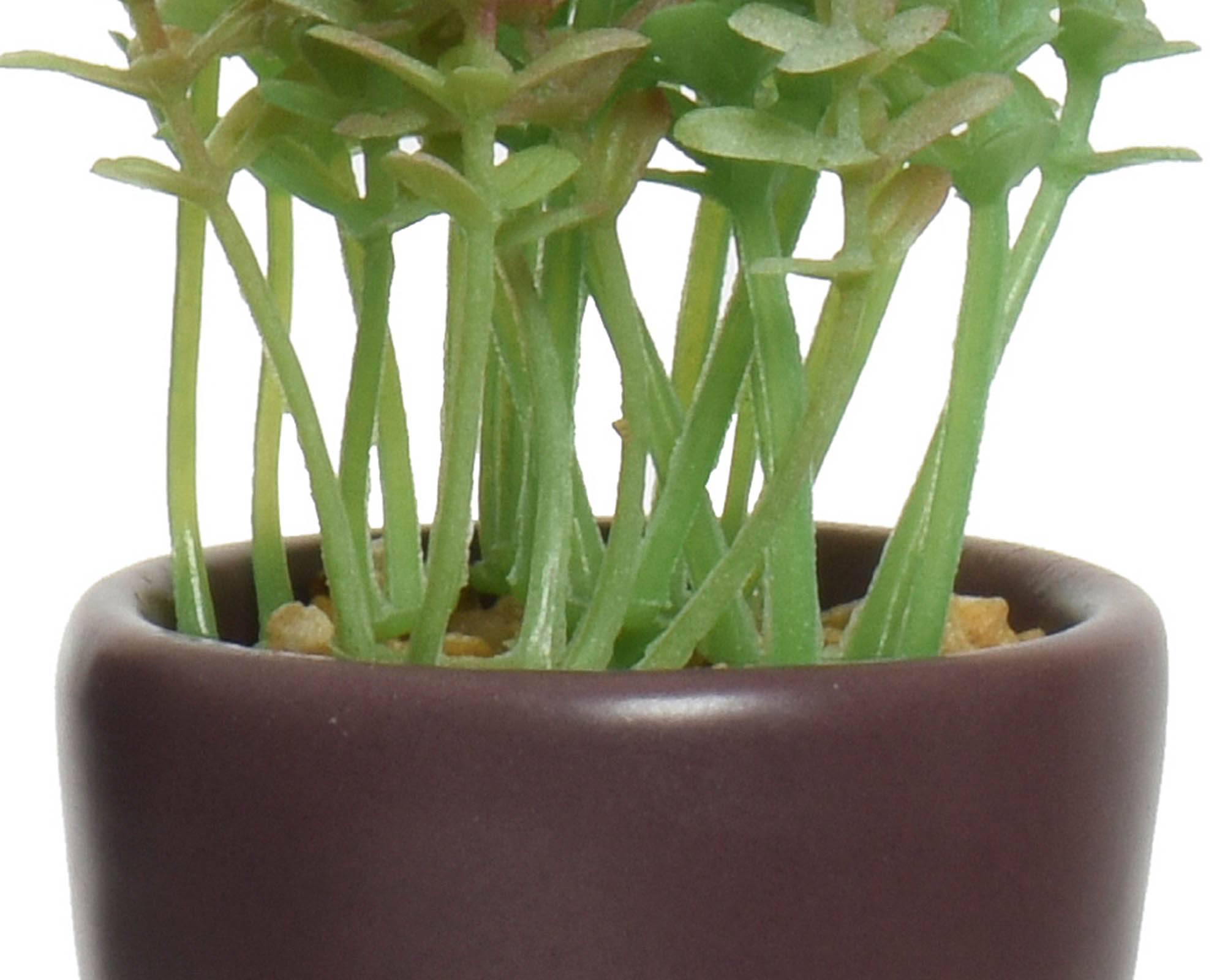 Succulenta Artificiale con Vaso Omino Assortito 7x9x14cm in PE - Kaemingk - immagine 5