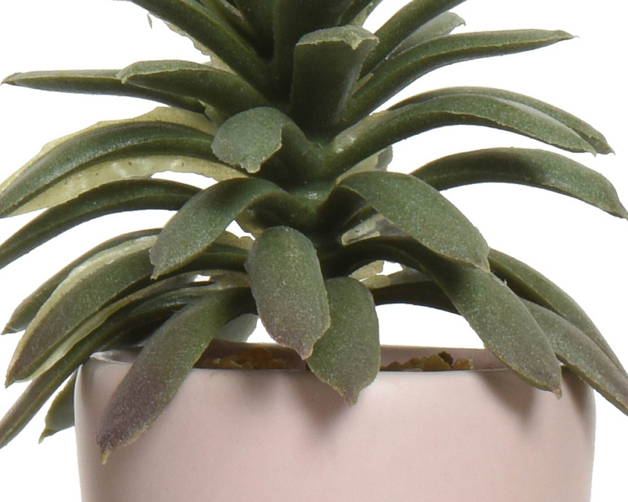 Succulenta Artificiale con Vaso Omino Assortito 7x9x14cm in PE - Kaemingk - immagine 2