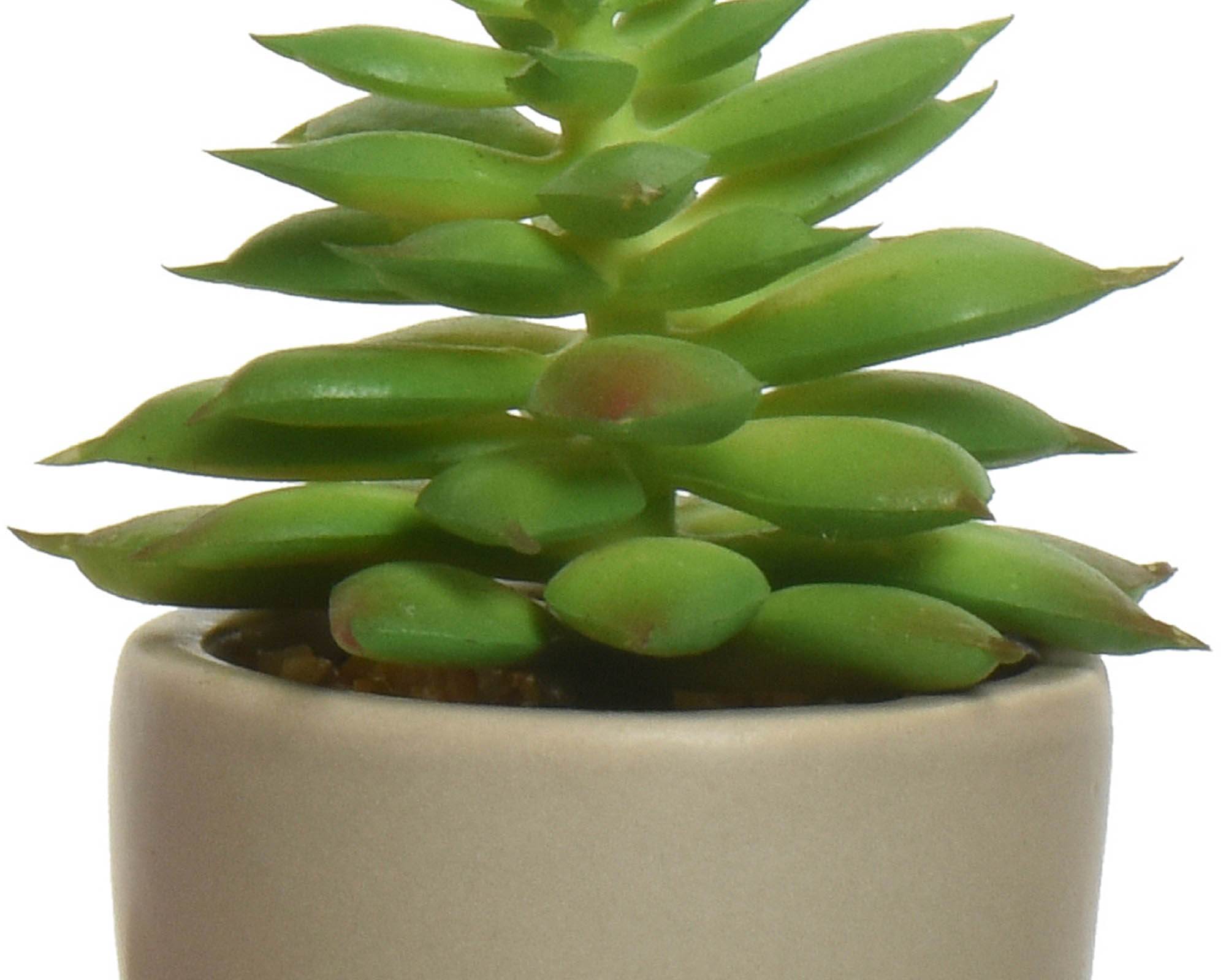 Succulenta Artificiale con Vaso Omino Assortito 7x9x14cm in PE - Kaemingk - immagine 3