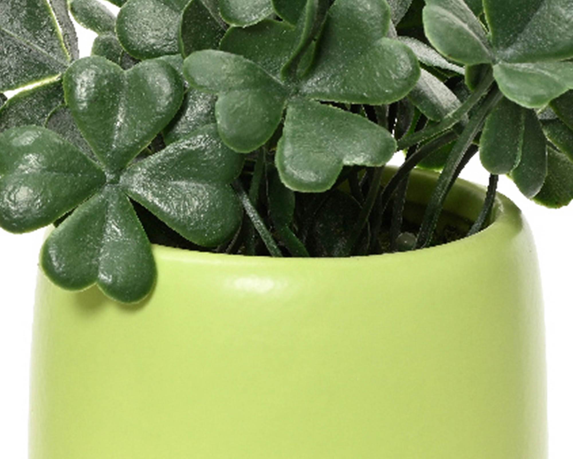 Trifoglio Artificiale con Vaso in Ceramica e PE - Kaemingk - immagine 2