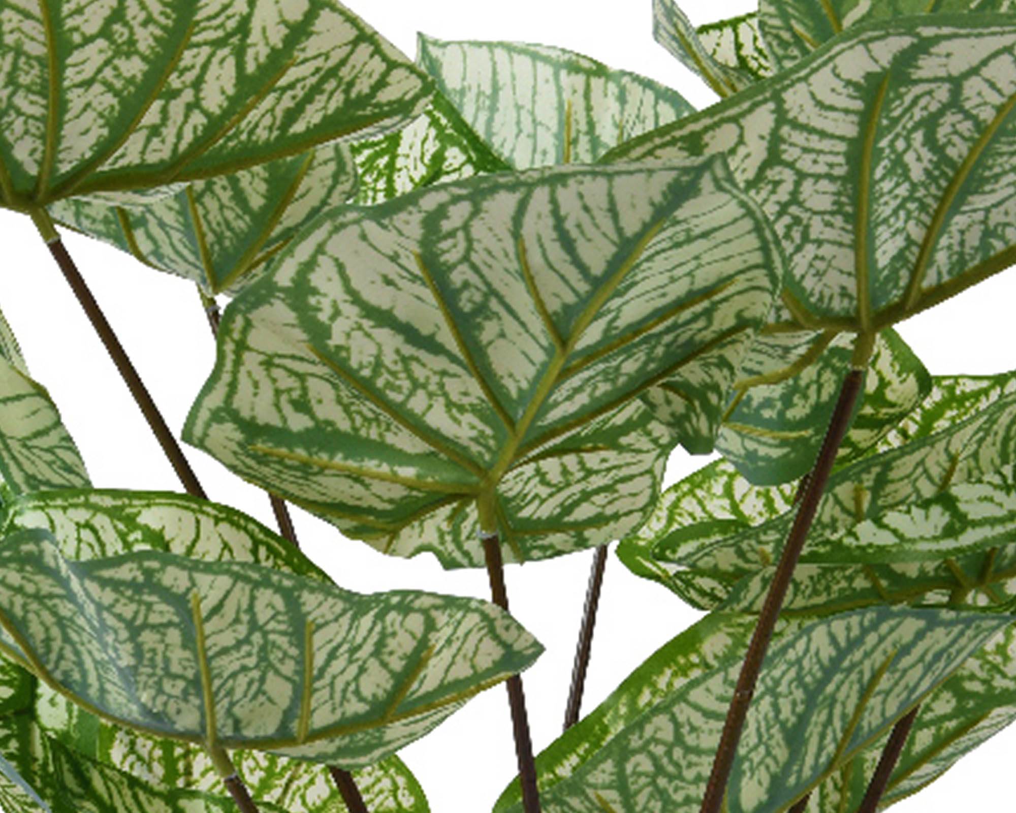 Caladio Artificiale con Vaso D50x50cm in PE - Kaemingk - immagine 2