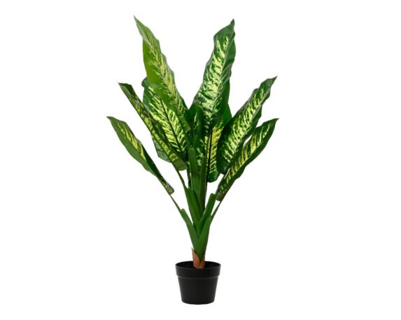 Dieffenbachia Artificiale con Vaso D60x90cm in PE – Kaemingk