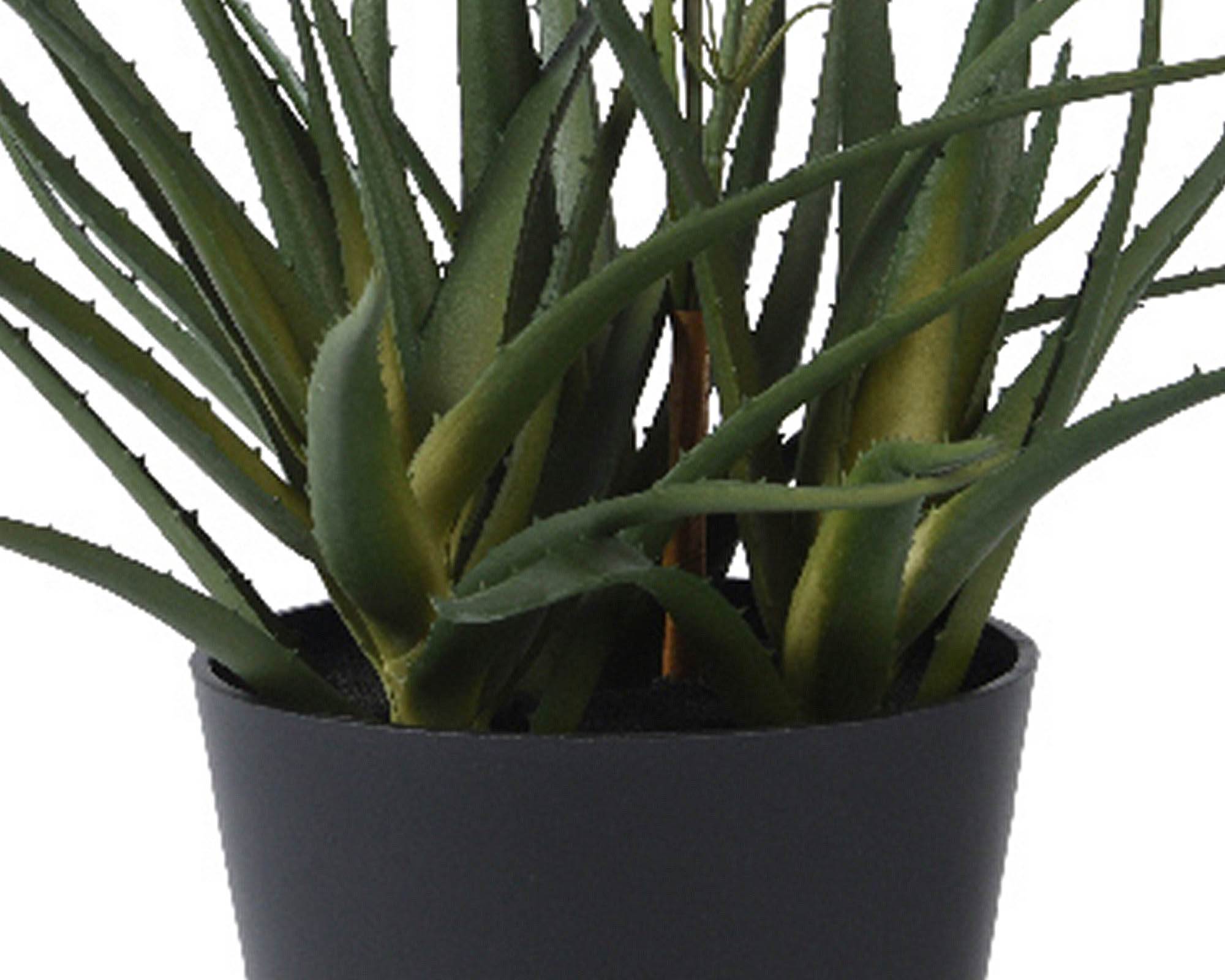 Aloe Vera Artificiale con Fiore e Vaso in PE - Kaemingk - immagine 2