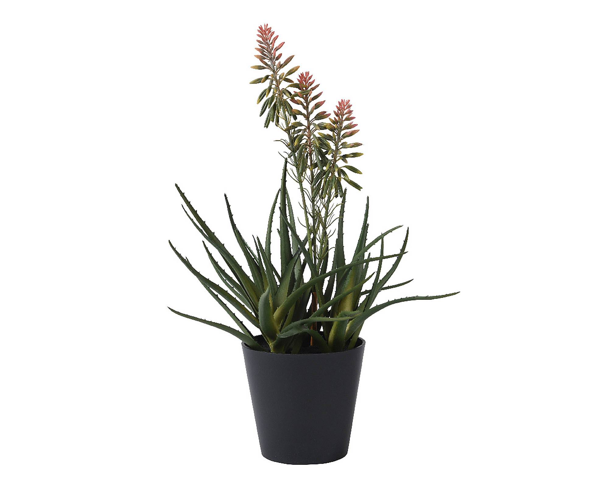 Aloe Vera Artificiale con Fiore e Vaso in PE - Kaemingk