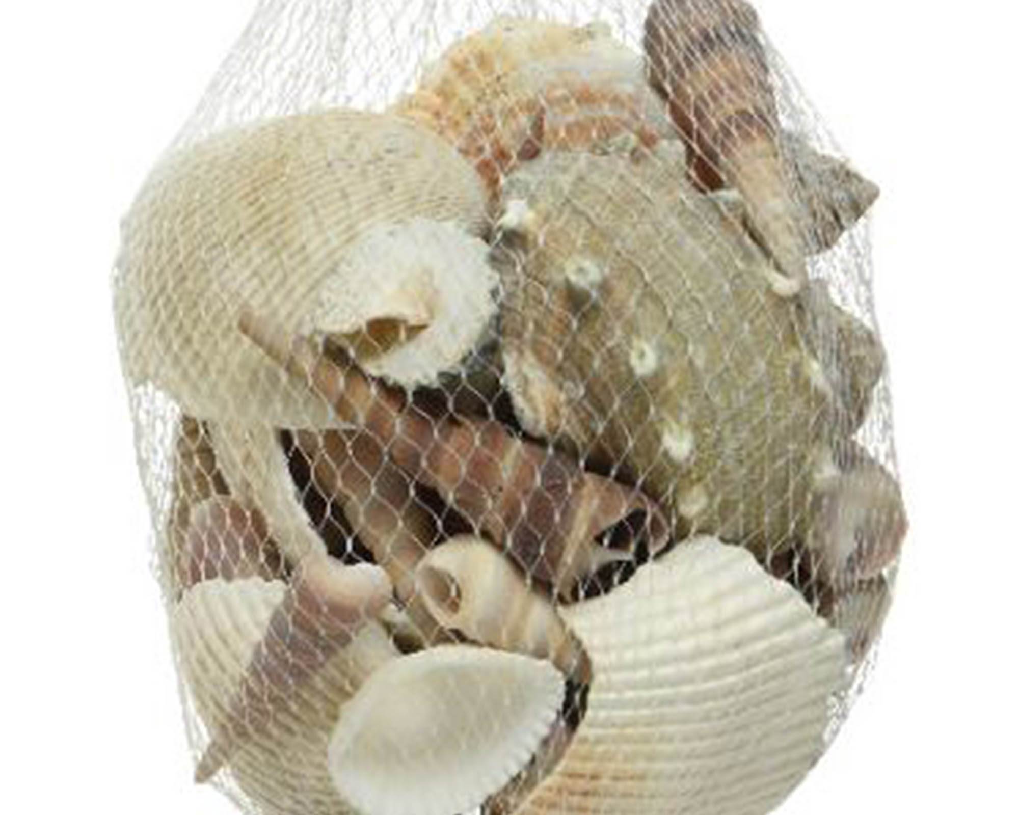 Busta Conchiglie Naturali Assortito 15x15x8cm - Kaemingk - immagine 2