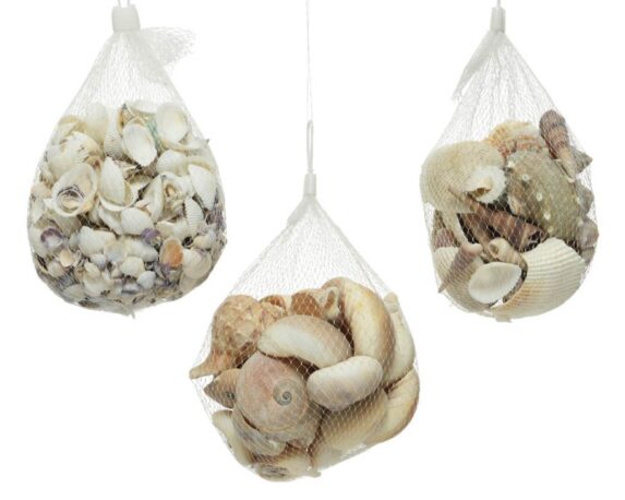 Busta Conchiglie Naturali Assortito 15x15x8cm – Kaemingk