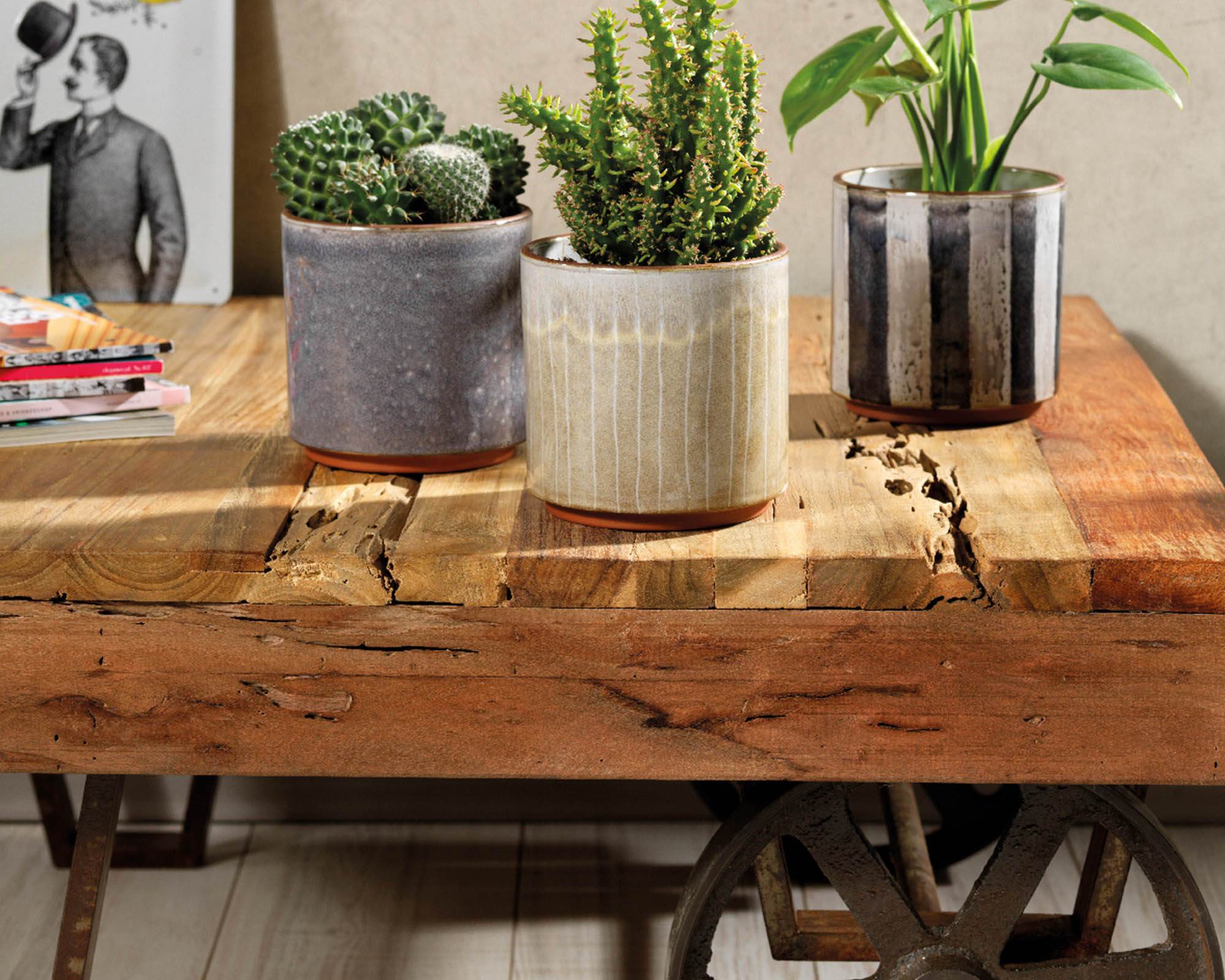 Cachepot Basic Assortito 13x12,5cm in Terracotta - Kaemingk - immagine 3